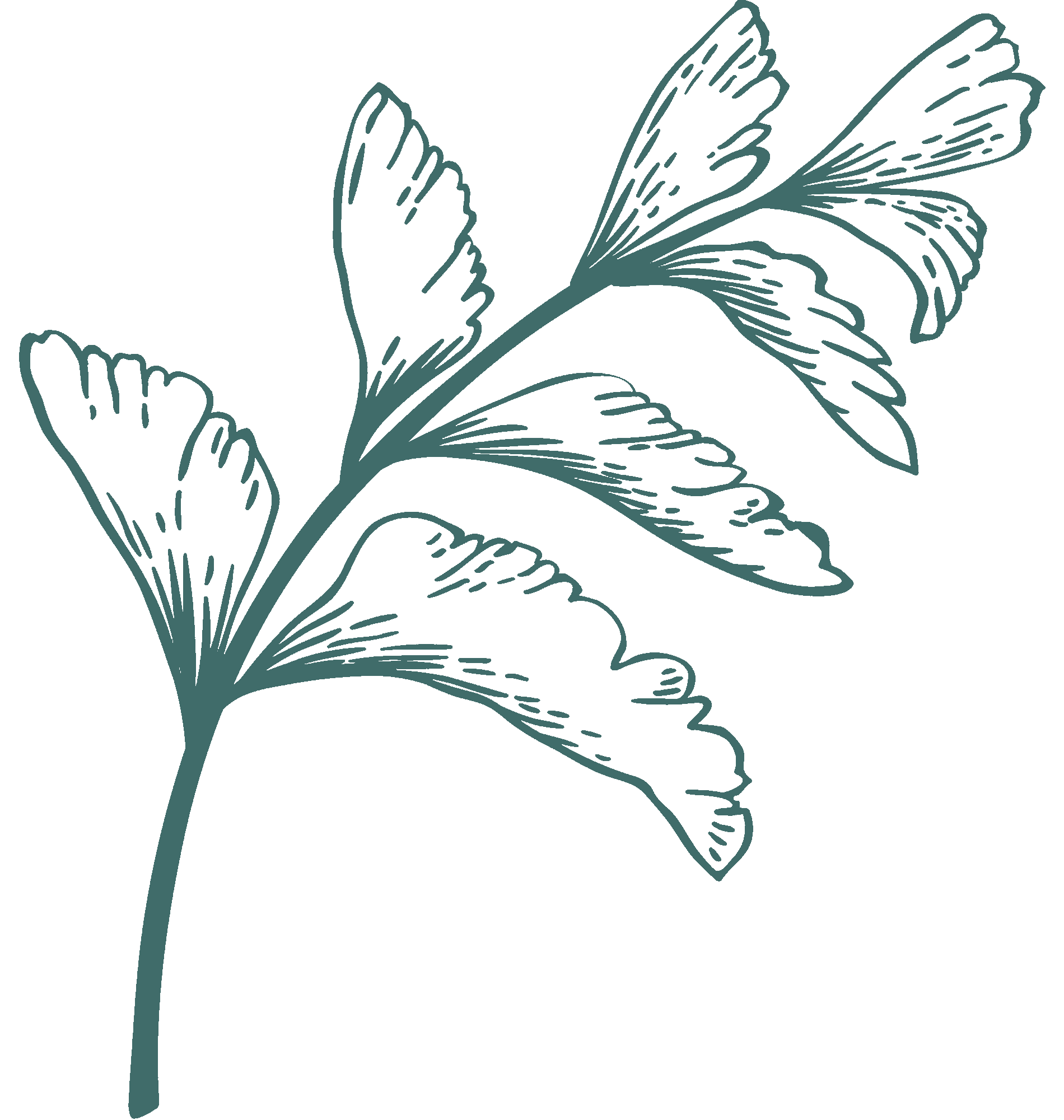 Dark-green-illustration-1.png?w=973&h=1024&scale