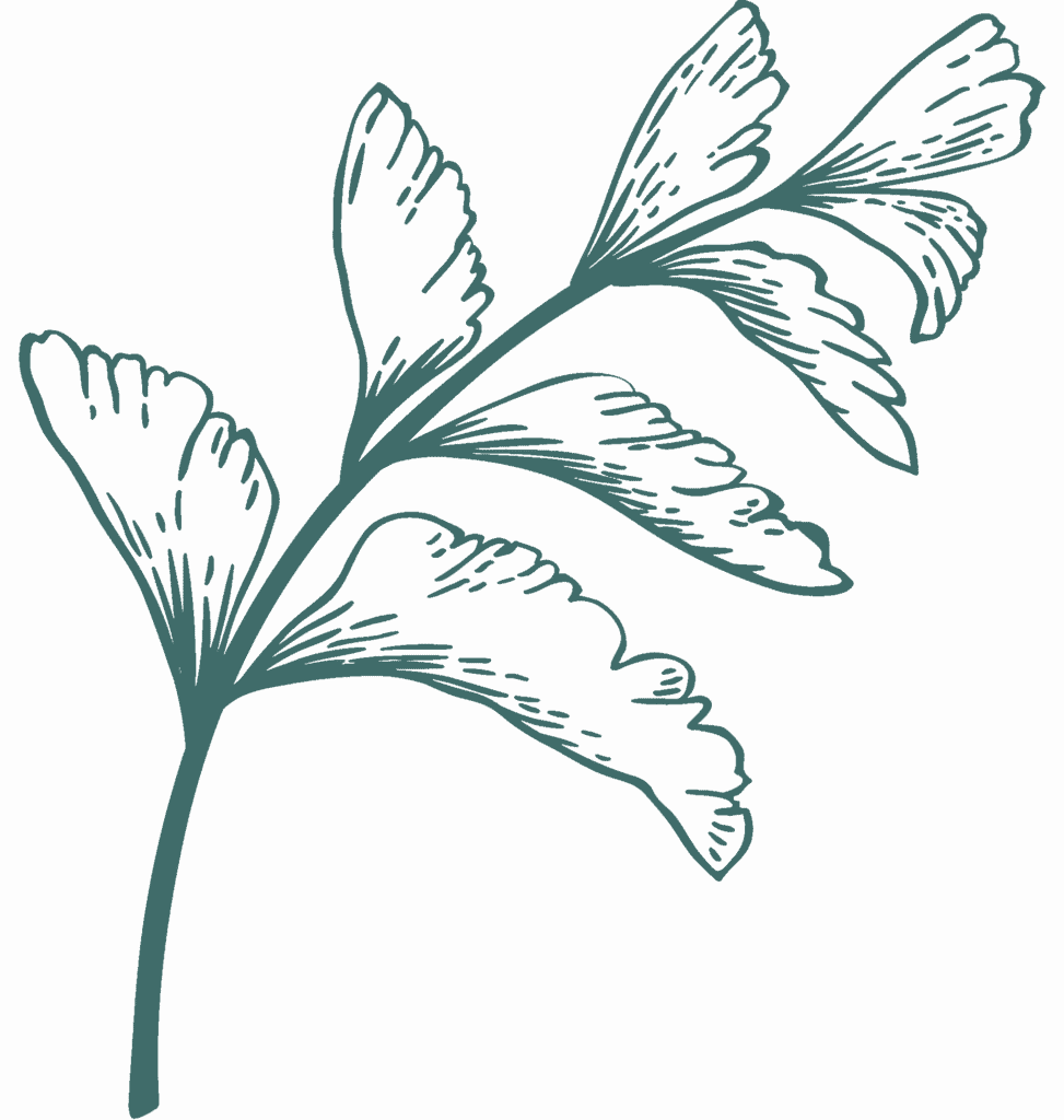 Dark-green-illustration-1.png?w=973&h=1024&scale