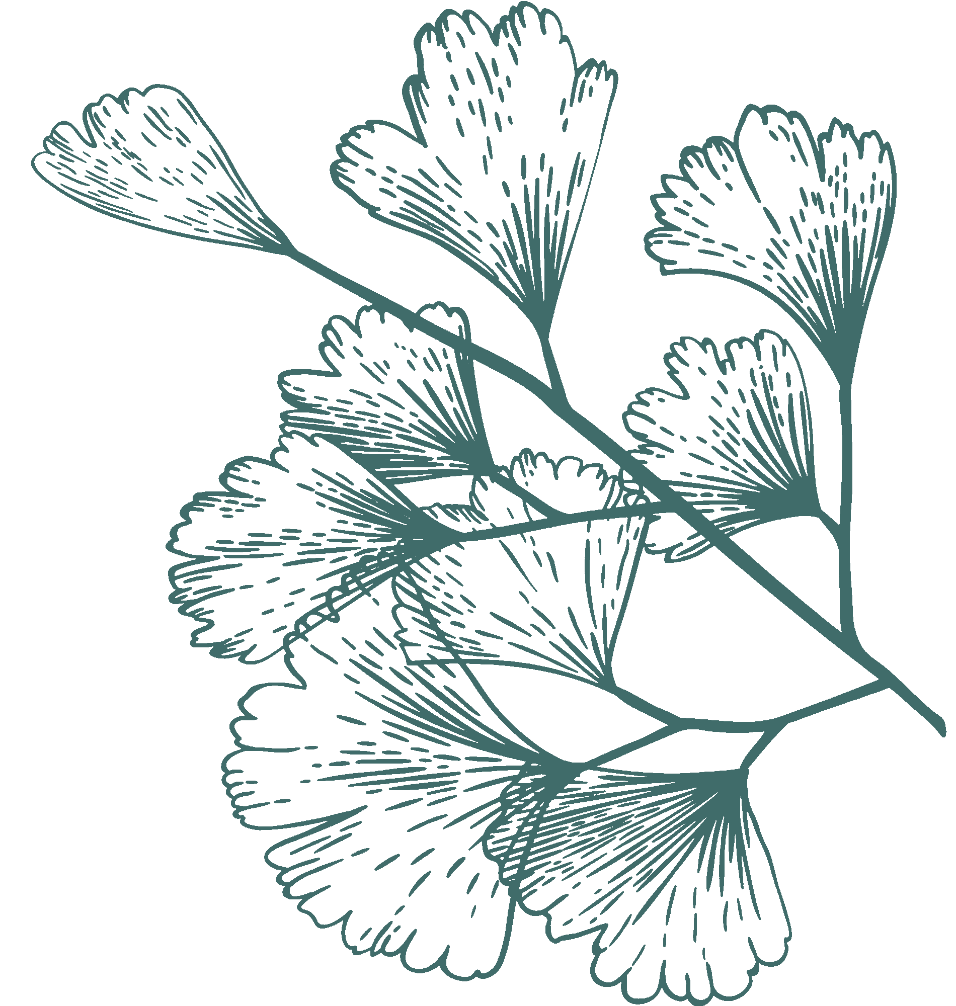 dark-green-illustration-2