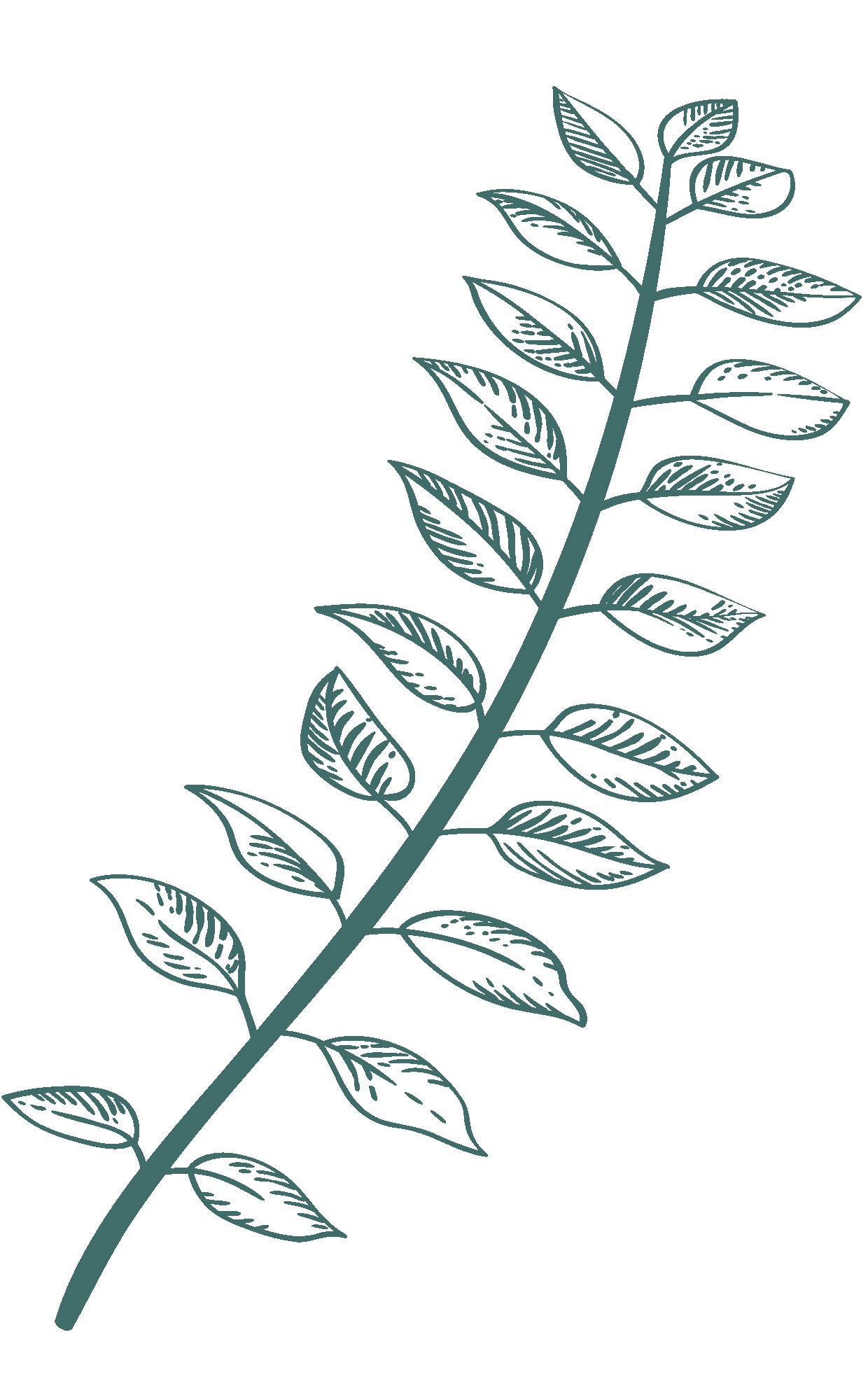 dark-green-illustration-5.png?w=635&h=1024&scale