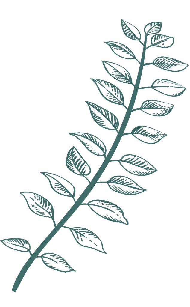 dark-green-illustration-5.png?w=635&h=1024&scale