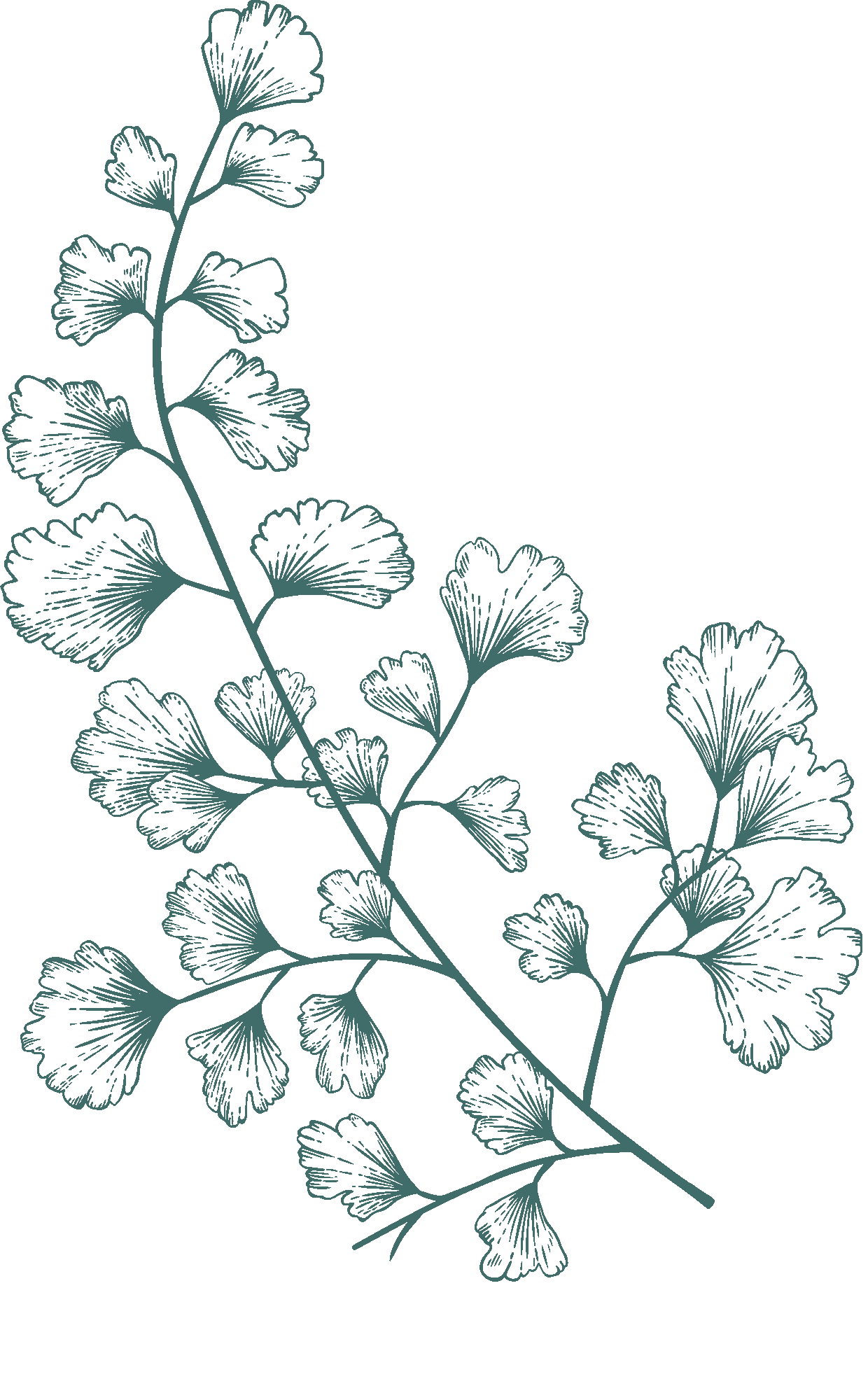 dark-green-illustration-6.png?w=635&h=1024&scale