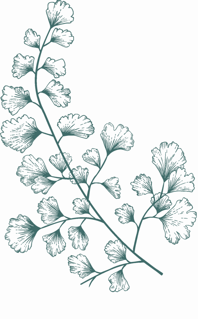dark-green-illustration-6.png?w=635&h=1024&scale
