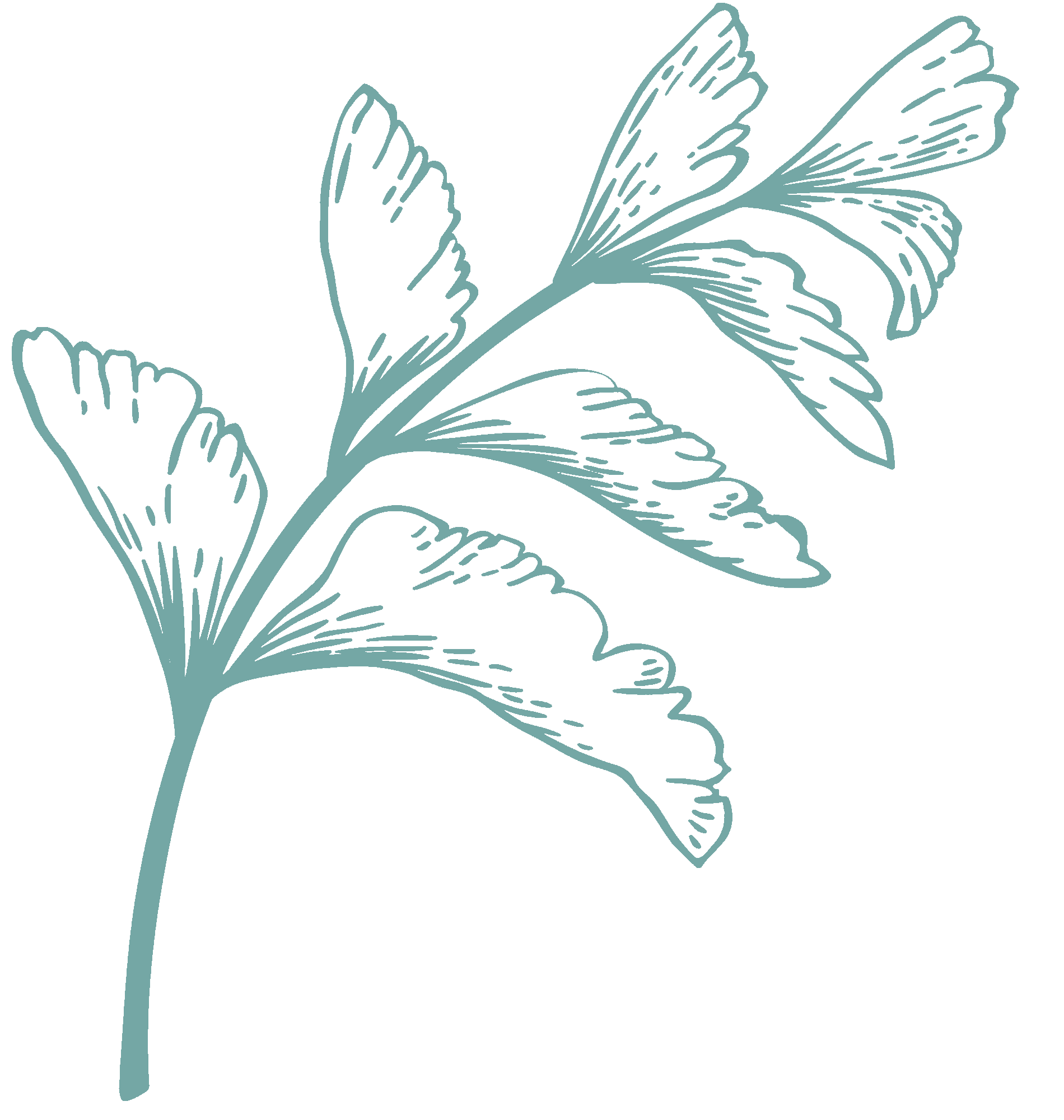 light-green-illustration-1.png?w=973&h=1024&scale