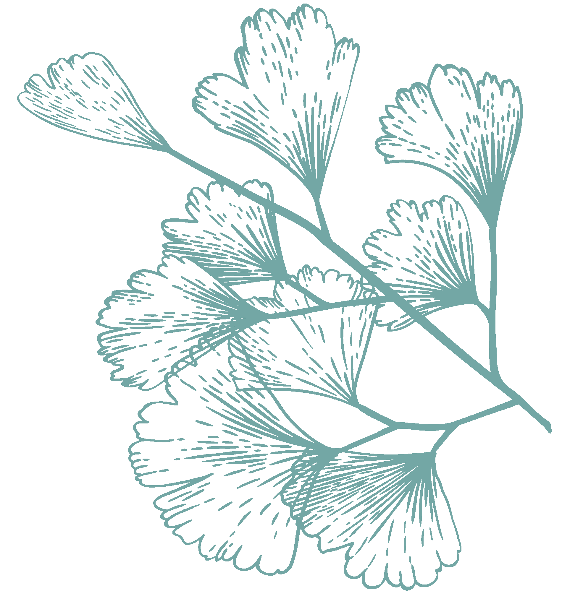 light-green-illustration-2.png?w=973&h=1024&scale