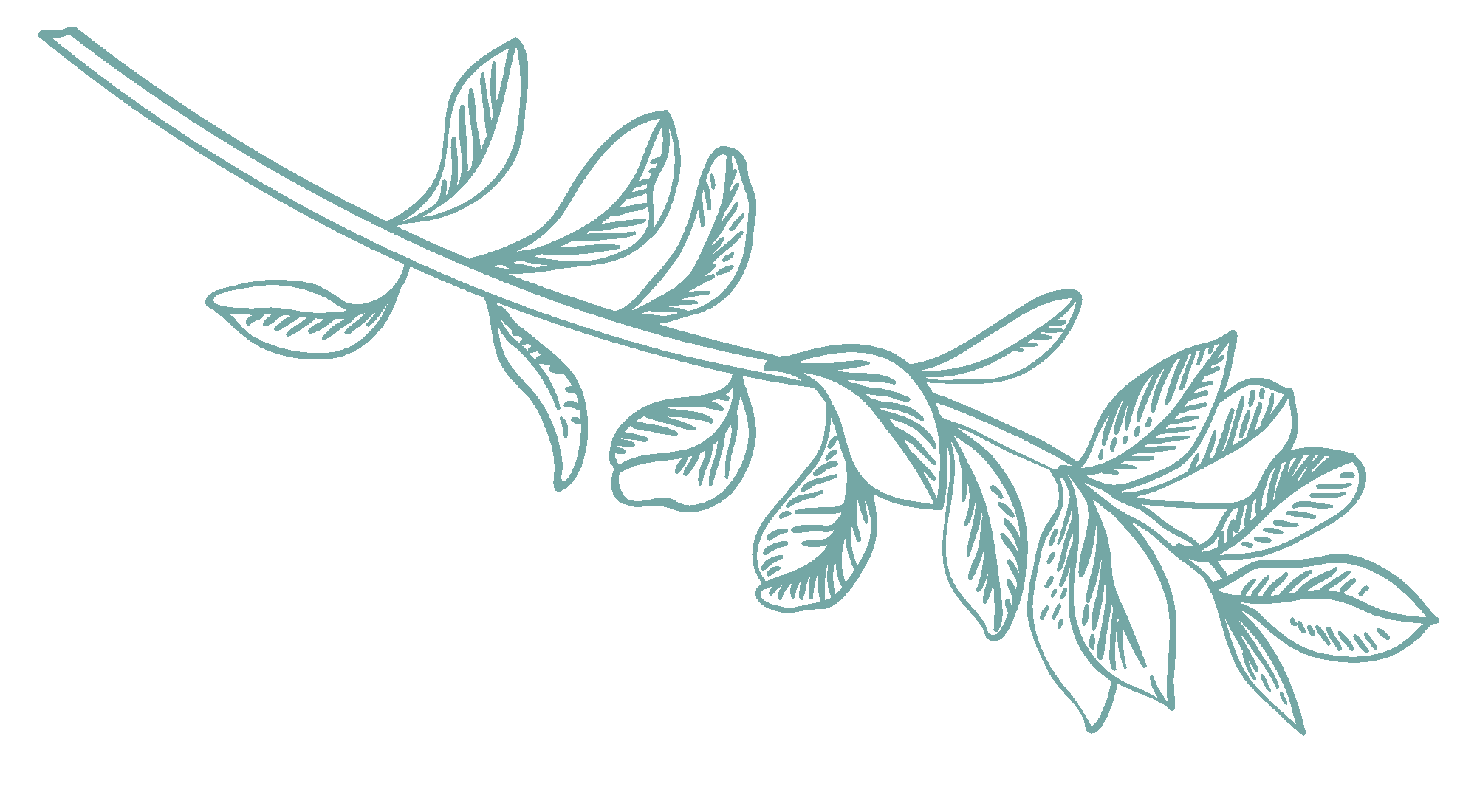 light-green-illustration-3.png?w=1024&h=563&scale