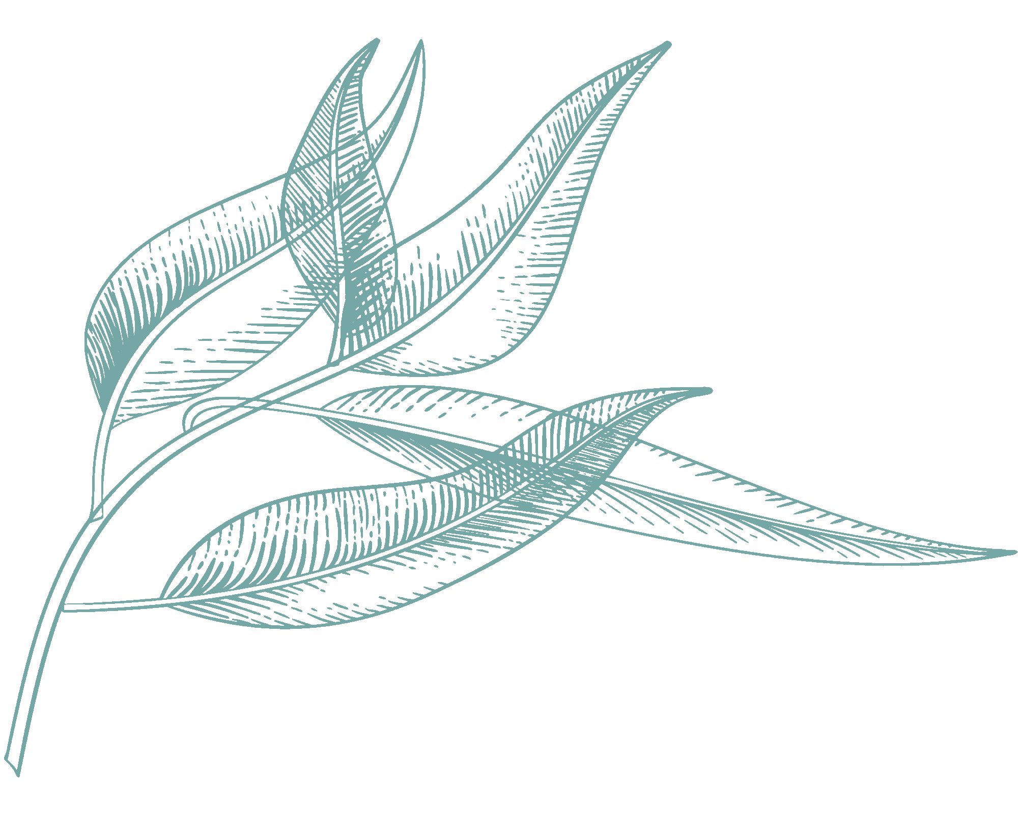 light-green-illustration-4.png?w=1024&h=819&scale