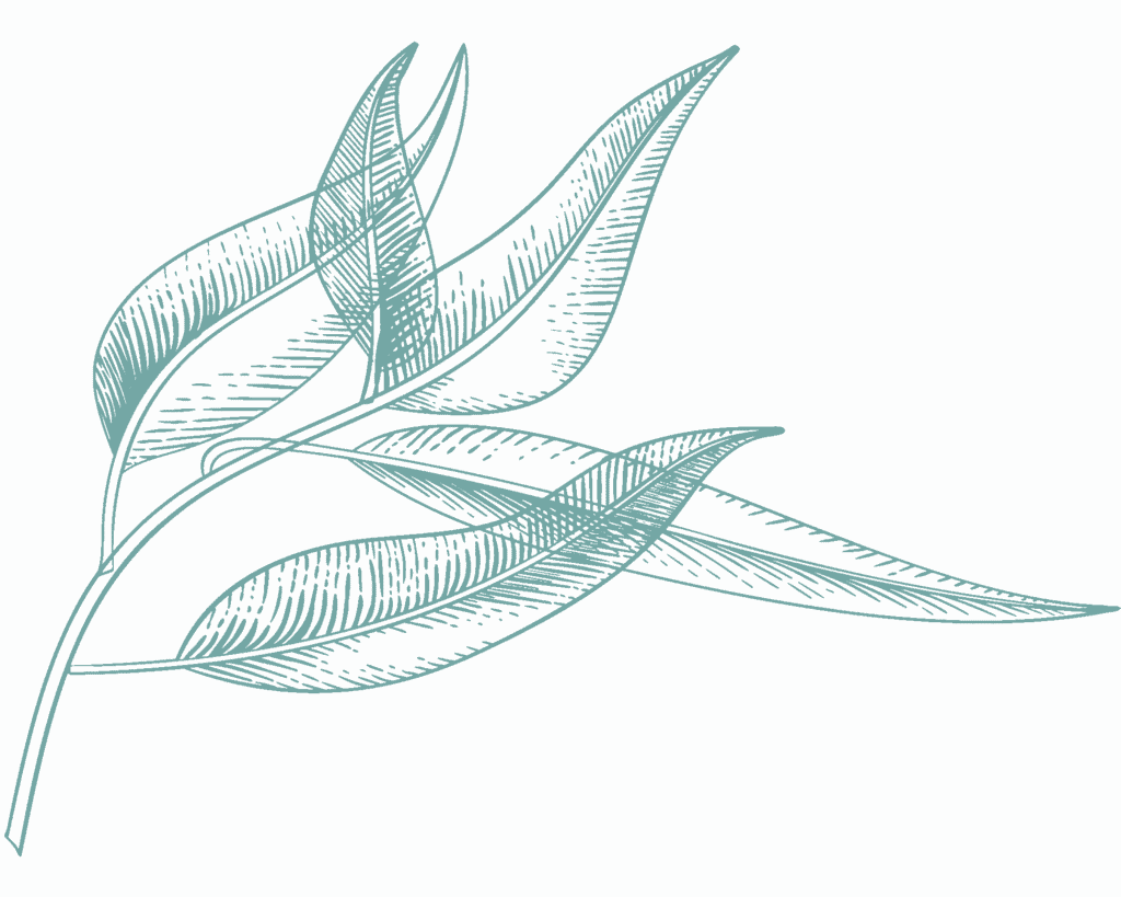 light-green-illustration-4.png?w=1024&h=819&scale