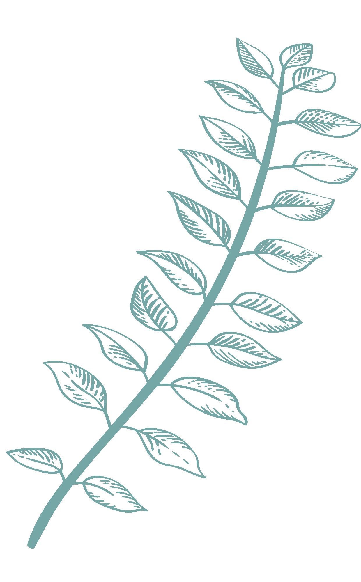 light-green-illustration-5.png?w=635&h=1024&scale