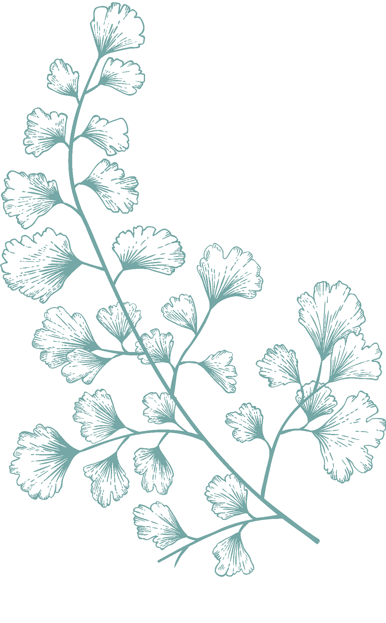 light-green-illustration-6.png?w=635&h=1024&scale