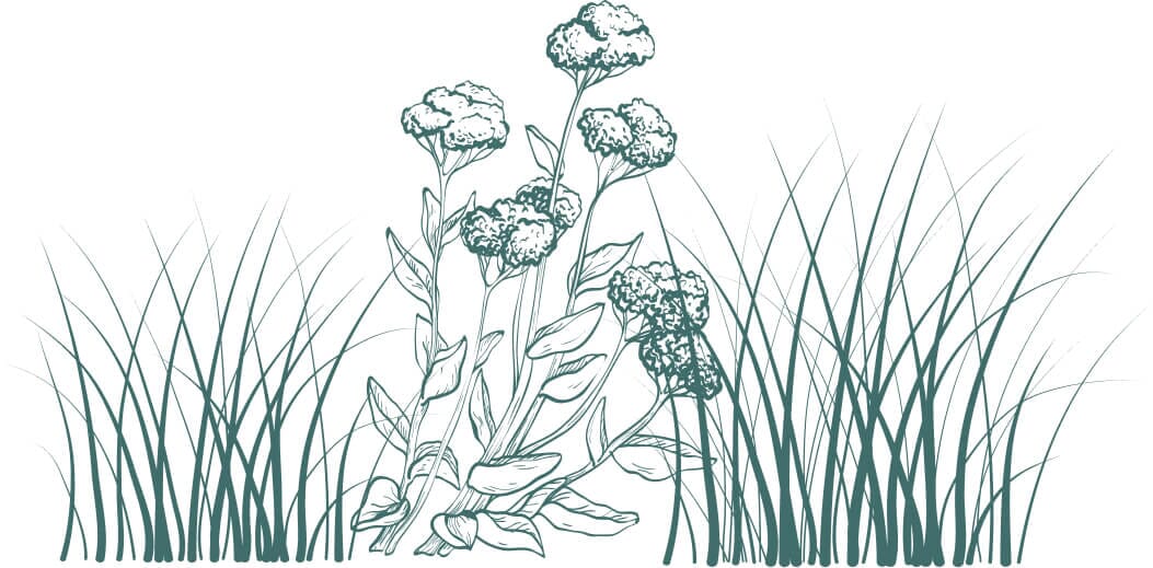 footer-right.jpg?w=1024&h=505&scale