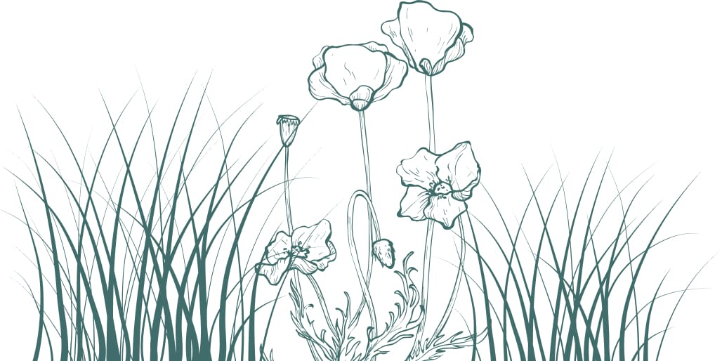 footer-left-1.jpg?w=1024&h=512&scale