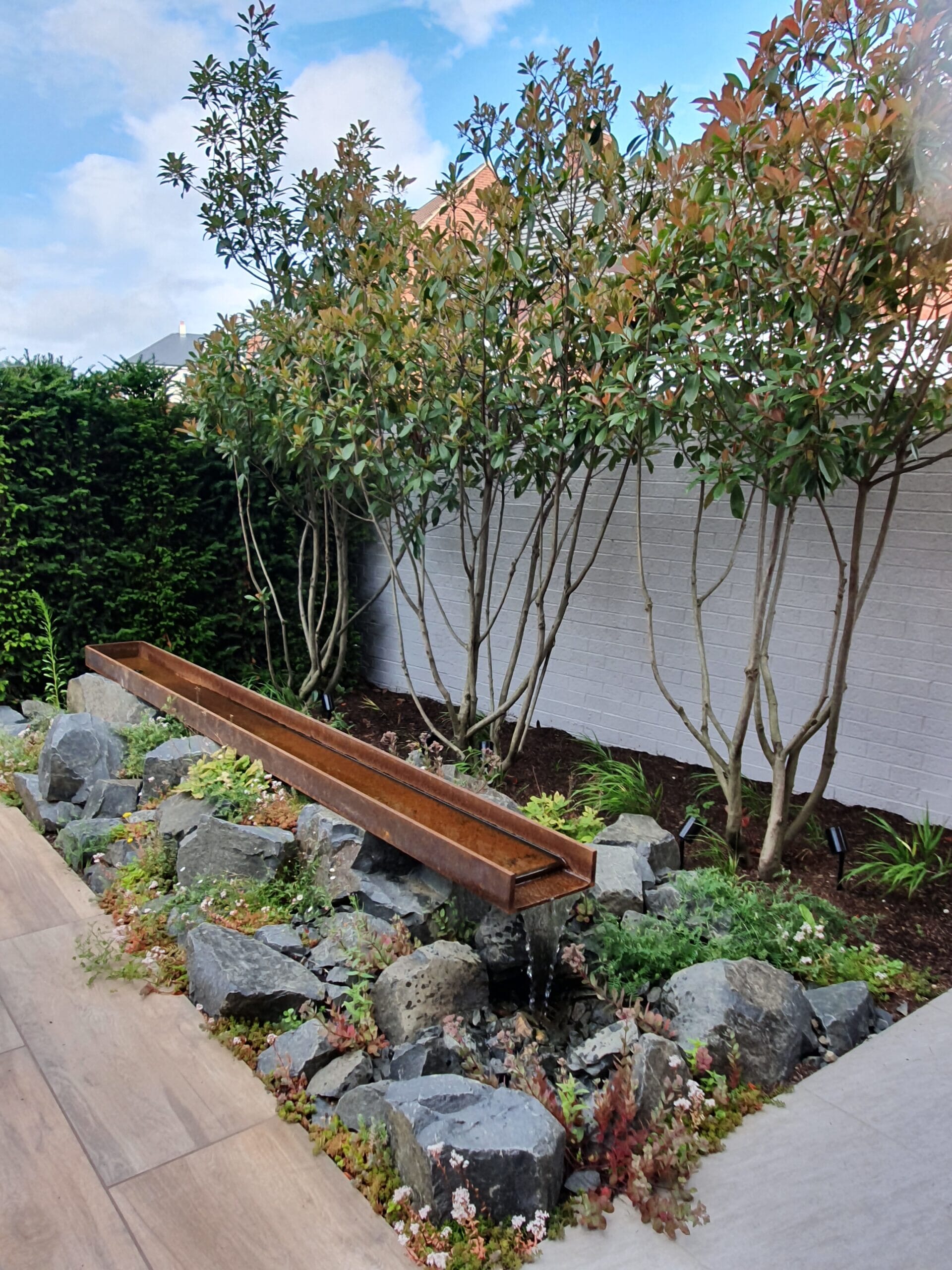 20190710_094457-scaled