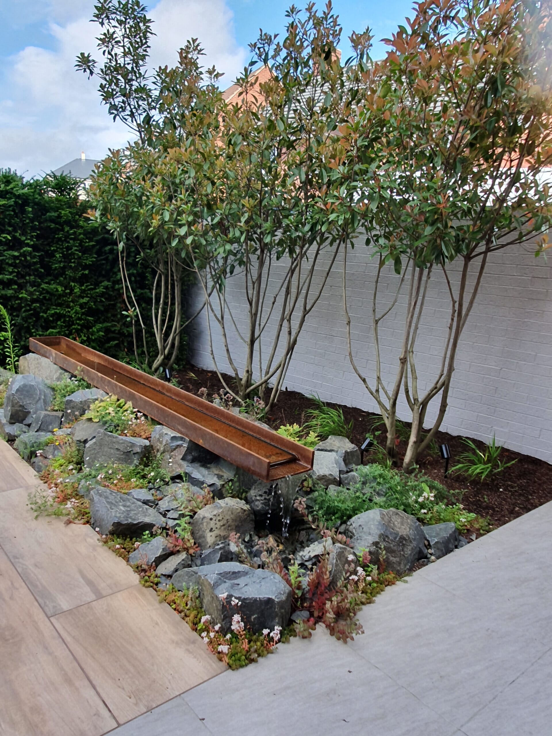 20190710_094501-scaled.jpg?w=768&h=1024&scale