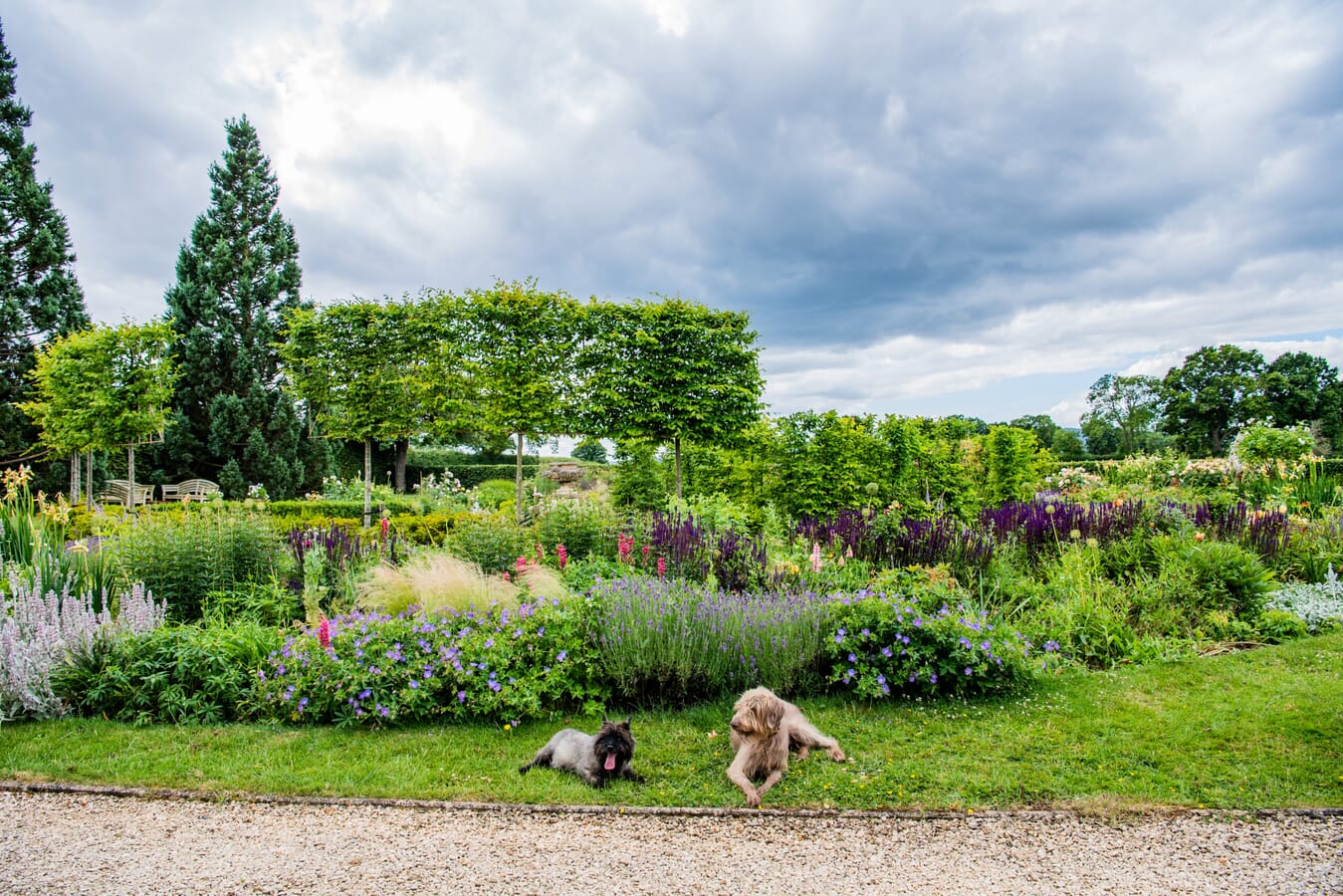 JB_KeltieandClarke-Newent27062022-8169-scaled