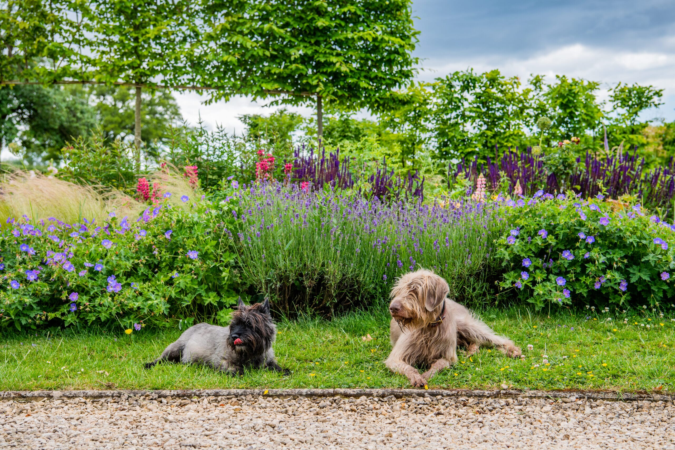 JB_KeltieandClarke-Newent27062022-8175-scaled