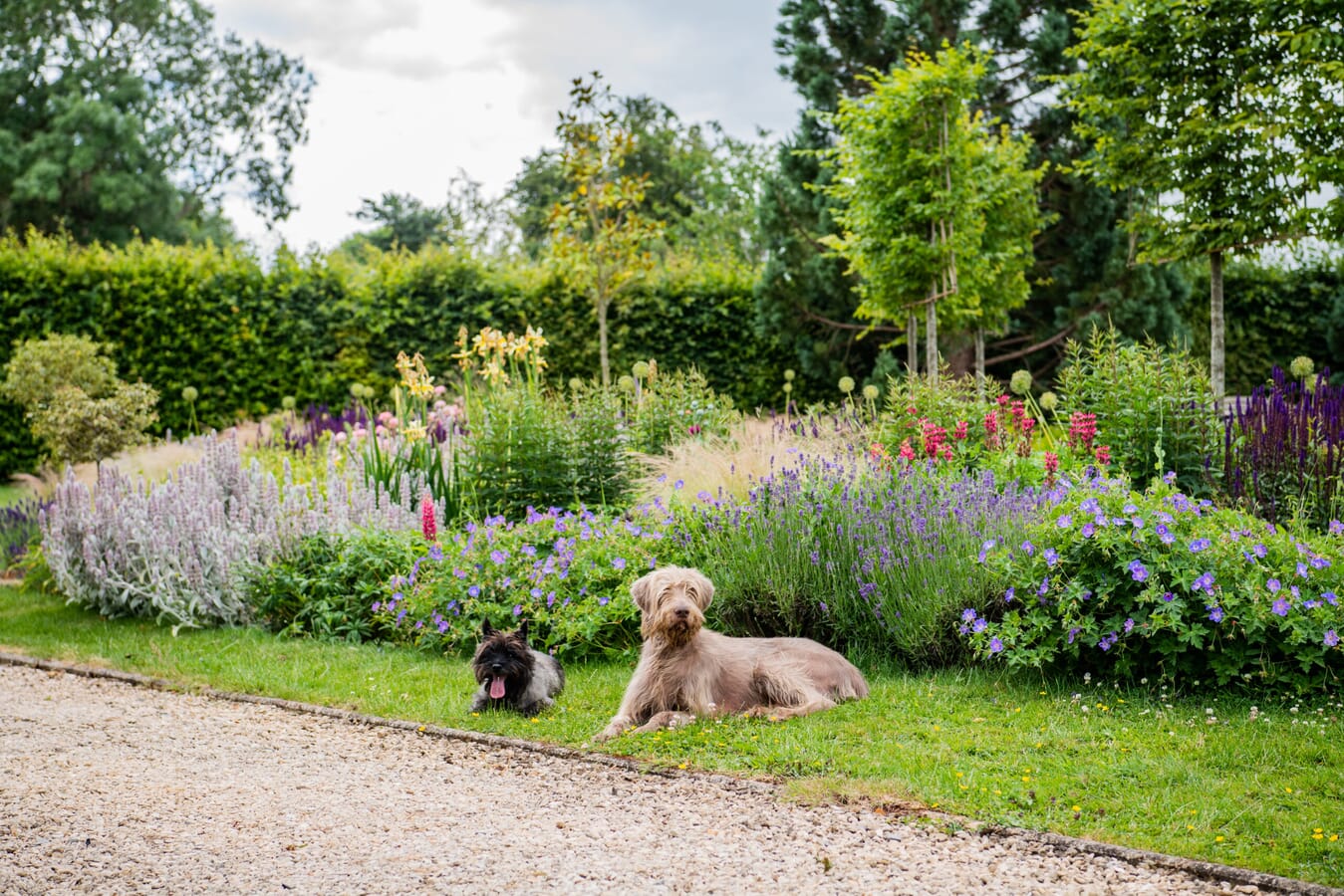 JB_KeltieandClarke-Newent27062022-8194-scaled