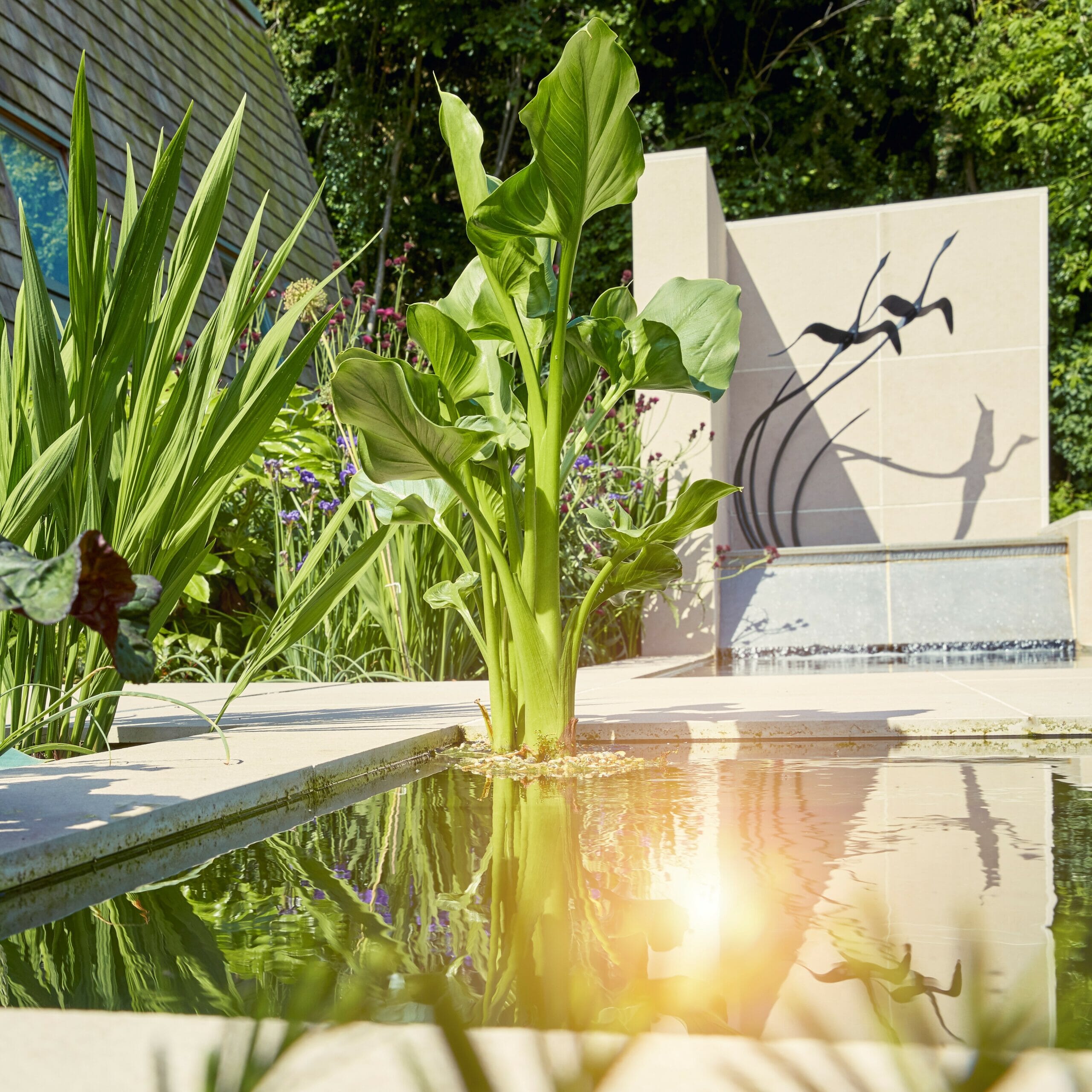 7-scaled.jpg?w=1024&h=1024&scale