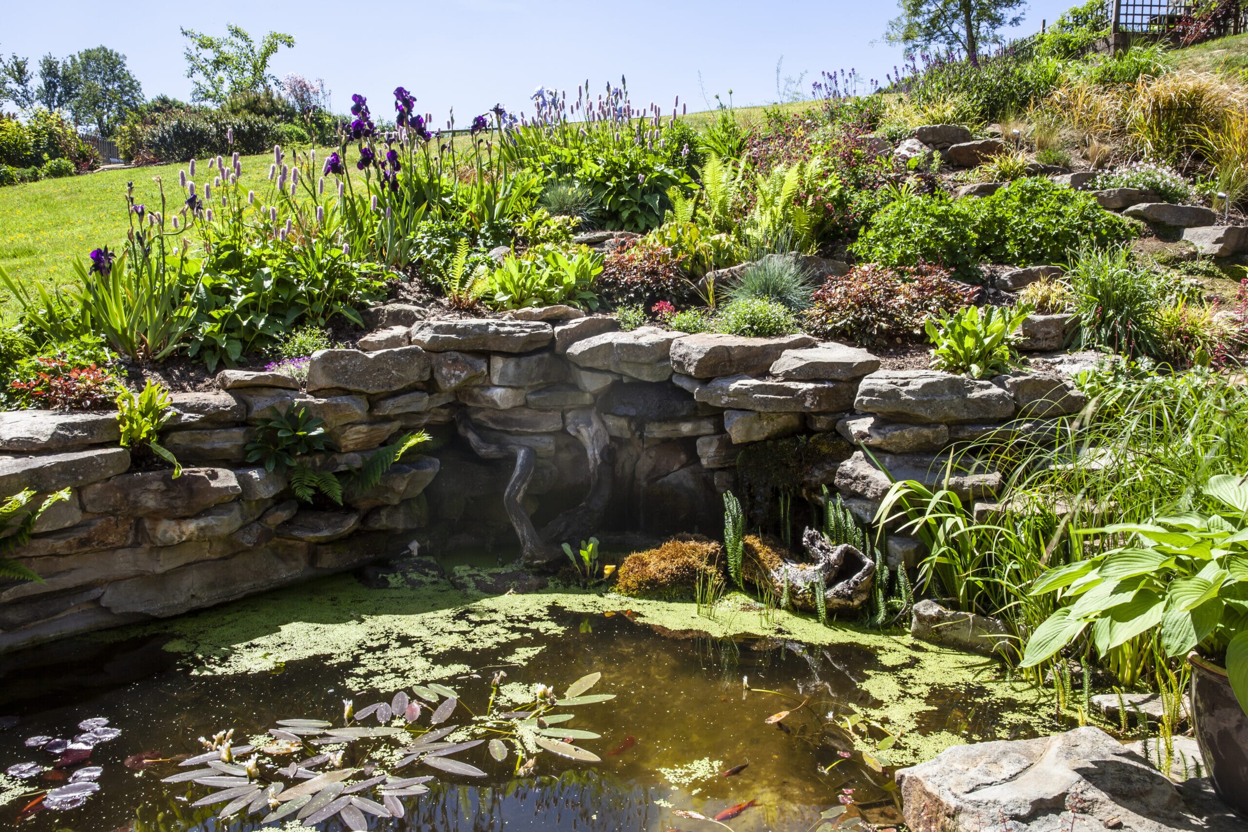 IMG_1334-scaled.jpg?w=1024&h=683&scale