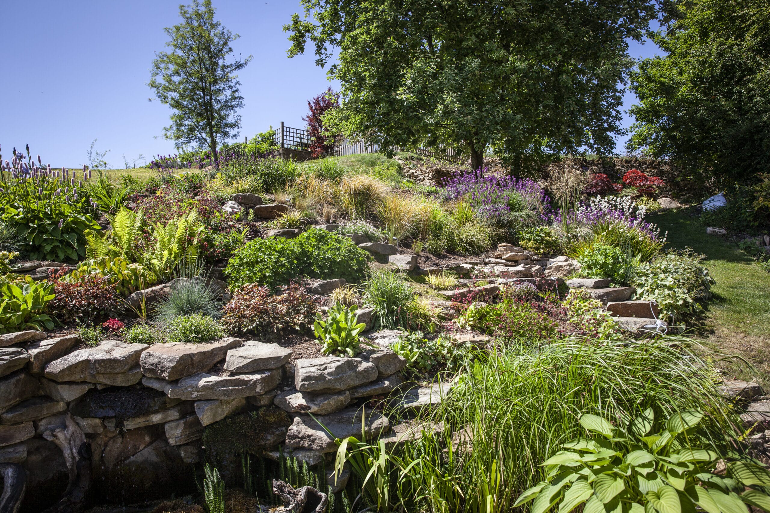 IMG_1415-scaled.jpg?w=1350&h=900&scale