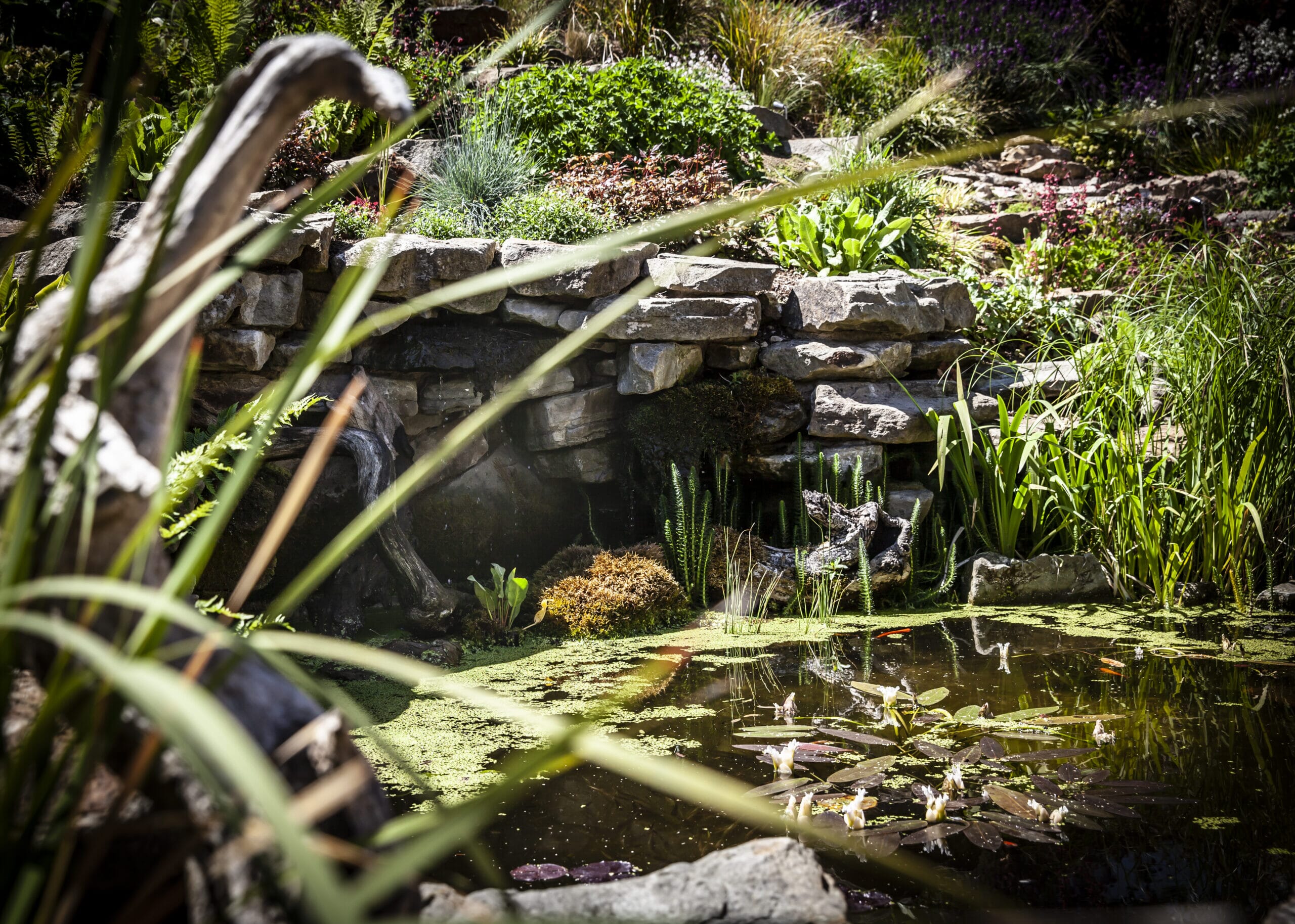 IMG_1462-scaled.jpg?w=1260&h=900&scale