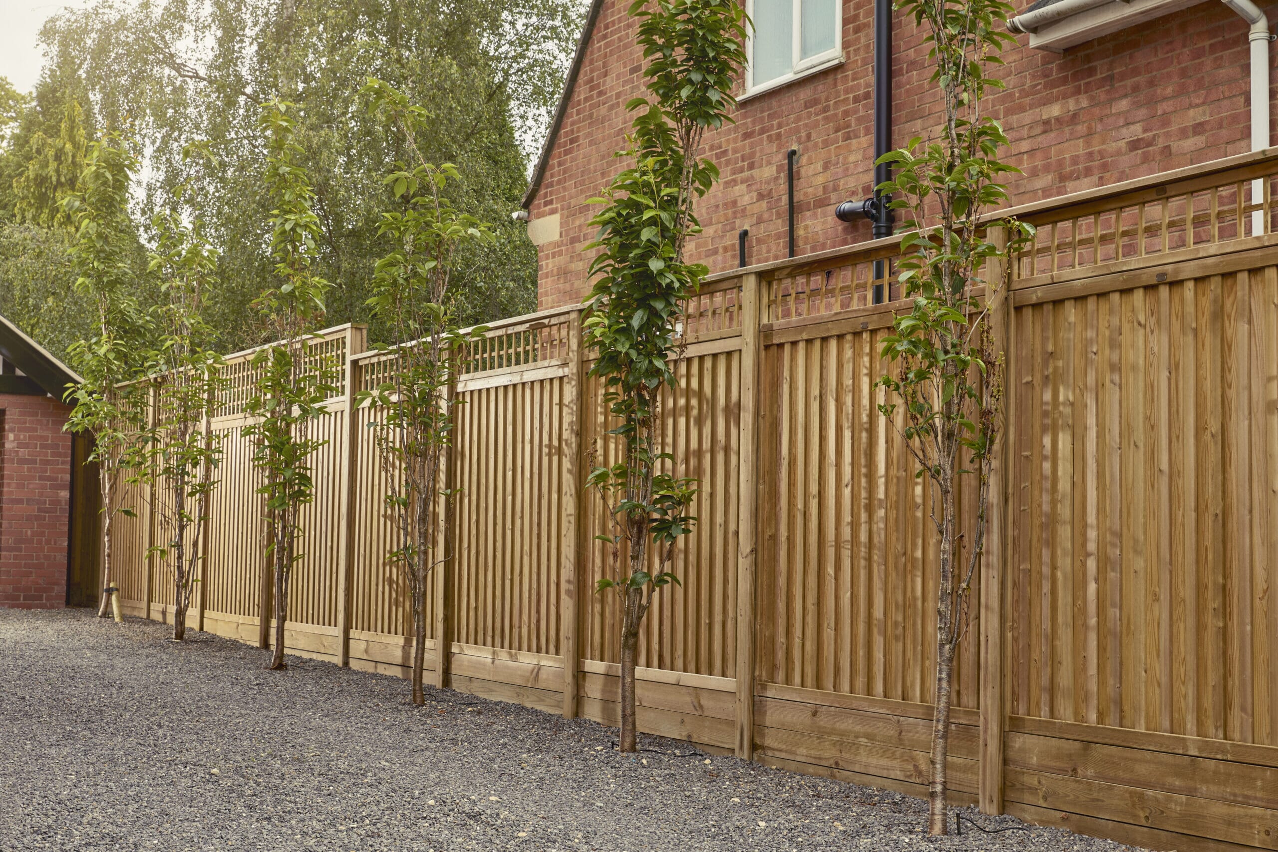 KC618122-scaled.jpg?w=1350&h=900&scale