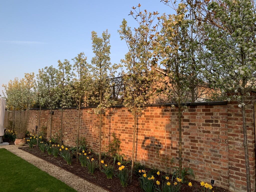 UNADJUSTEDNONRAW_thumb_4f36