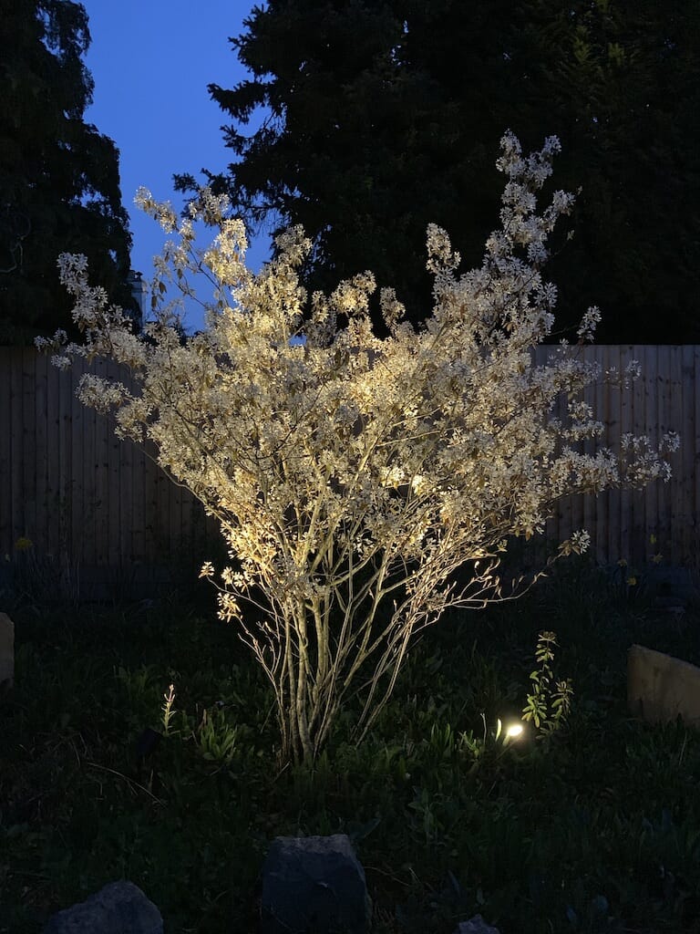 UNADJUSTEDNONRAW_thumb_4f62