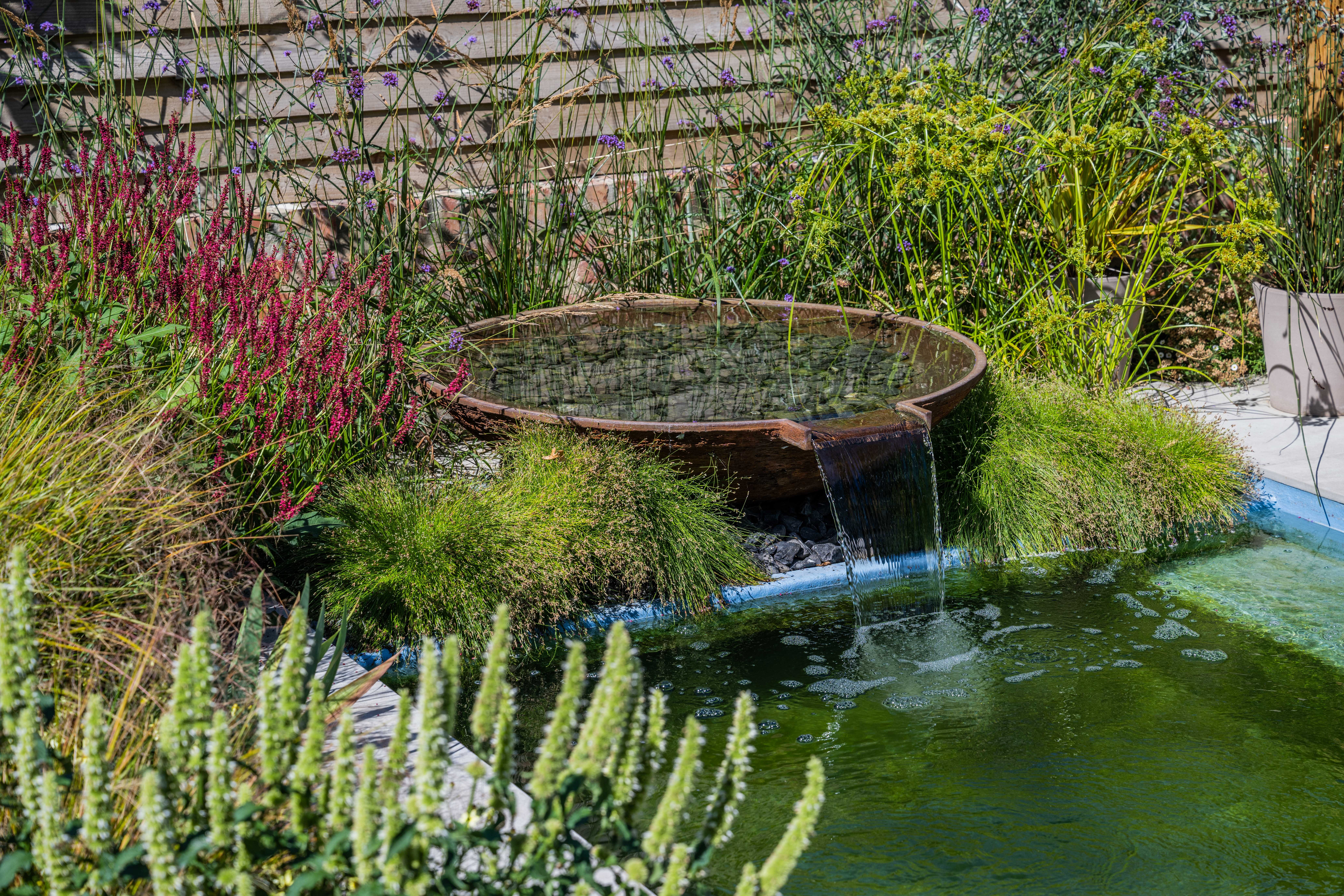 JB_PoolBarn10082022-1948