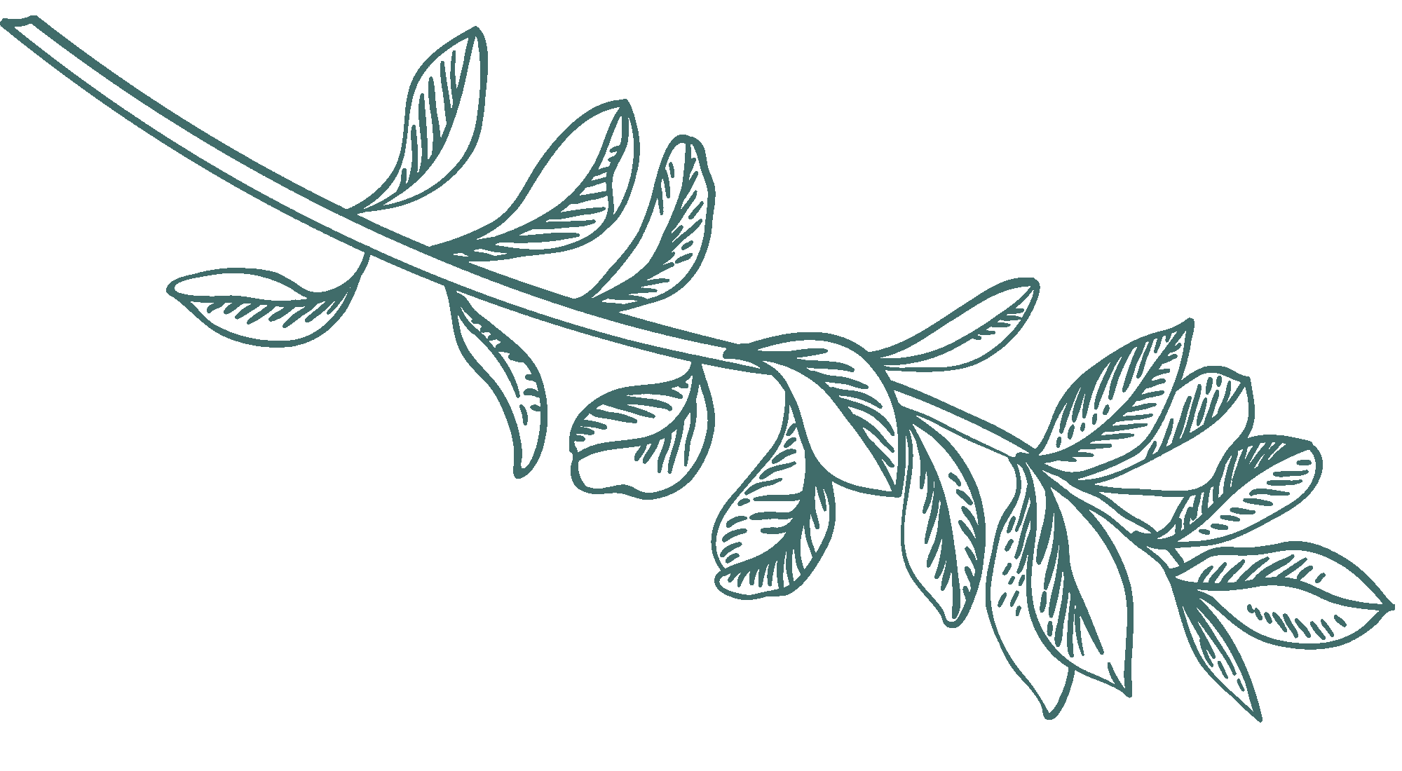 dark-green-illustration-3-1.png?w=1024&h=563&scale