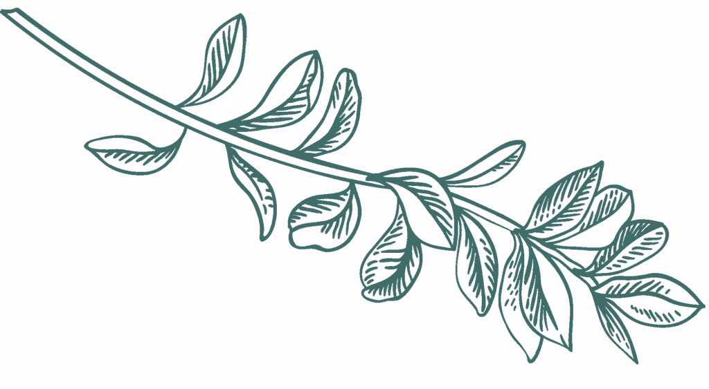 dark-green-illustration-3-1.png?w=1024&h=563&scale
