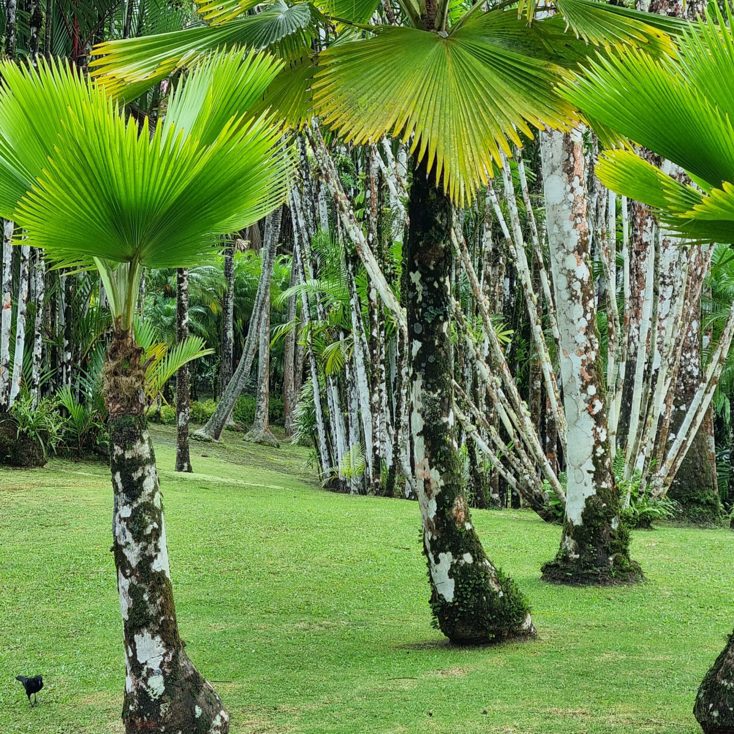 20221228_131219-scaled