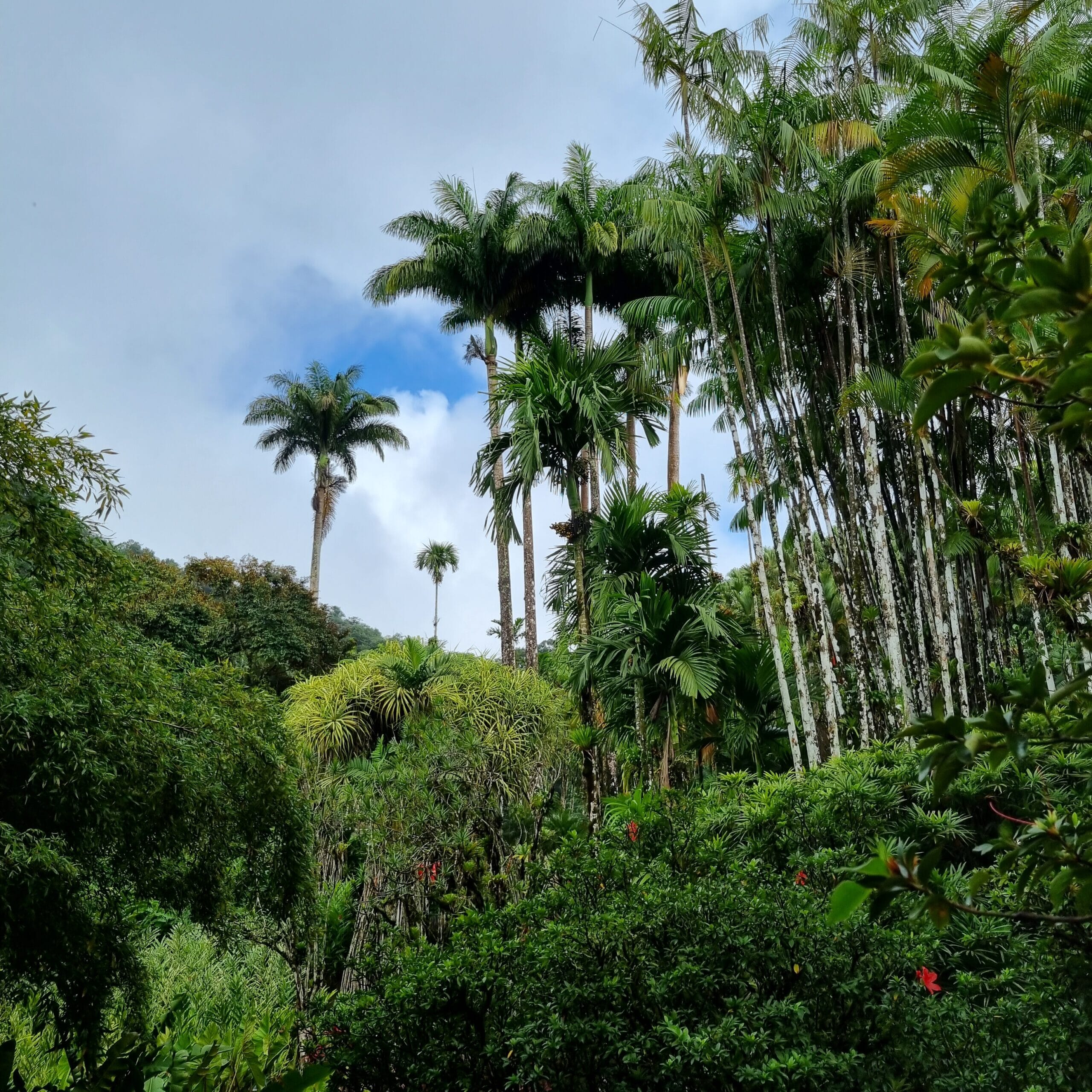 20221228_131833-scaled