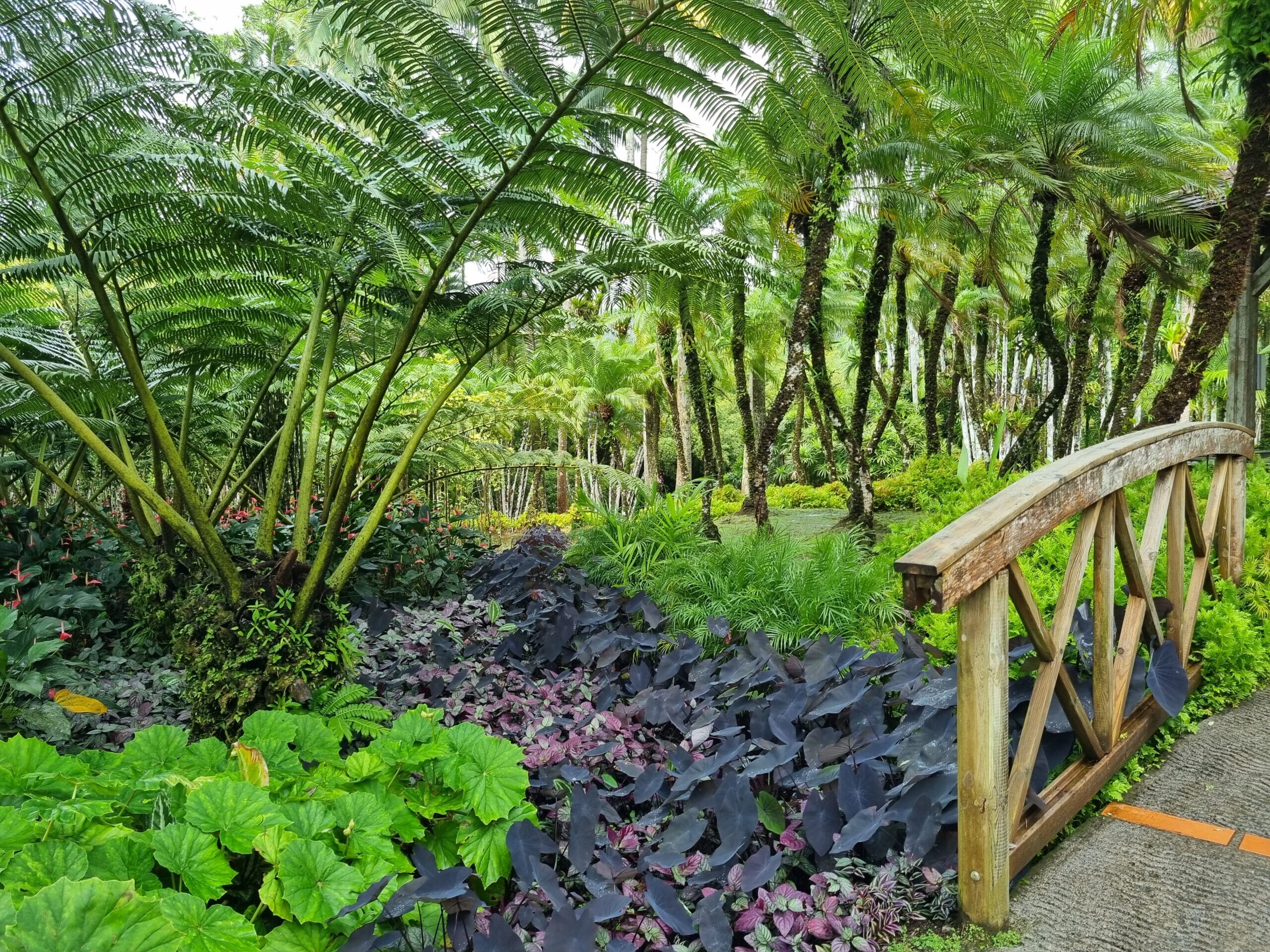 20221228_132852-scaled