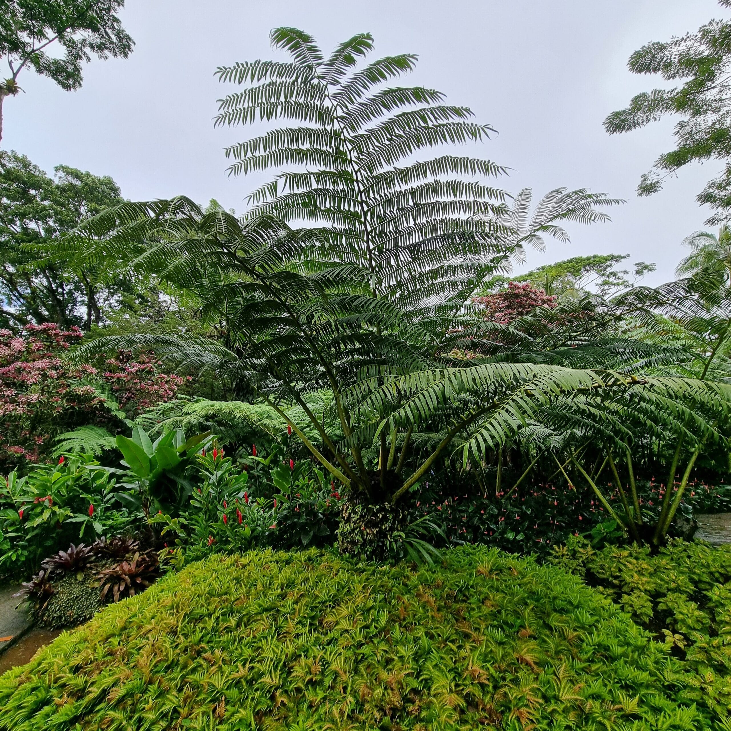 20221228_134004-scaled