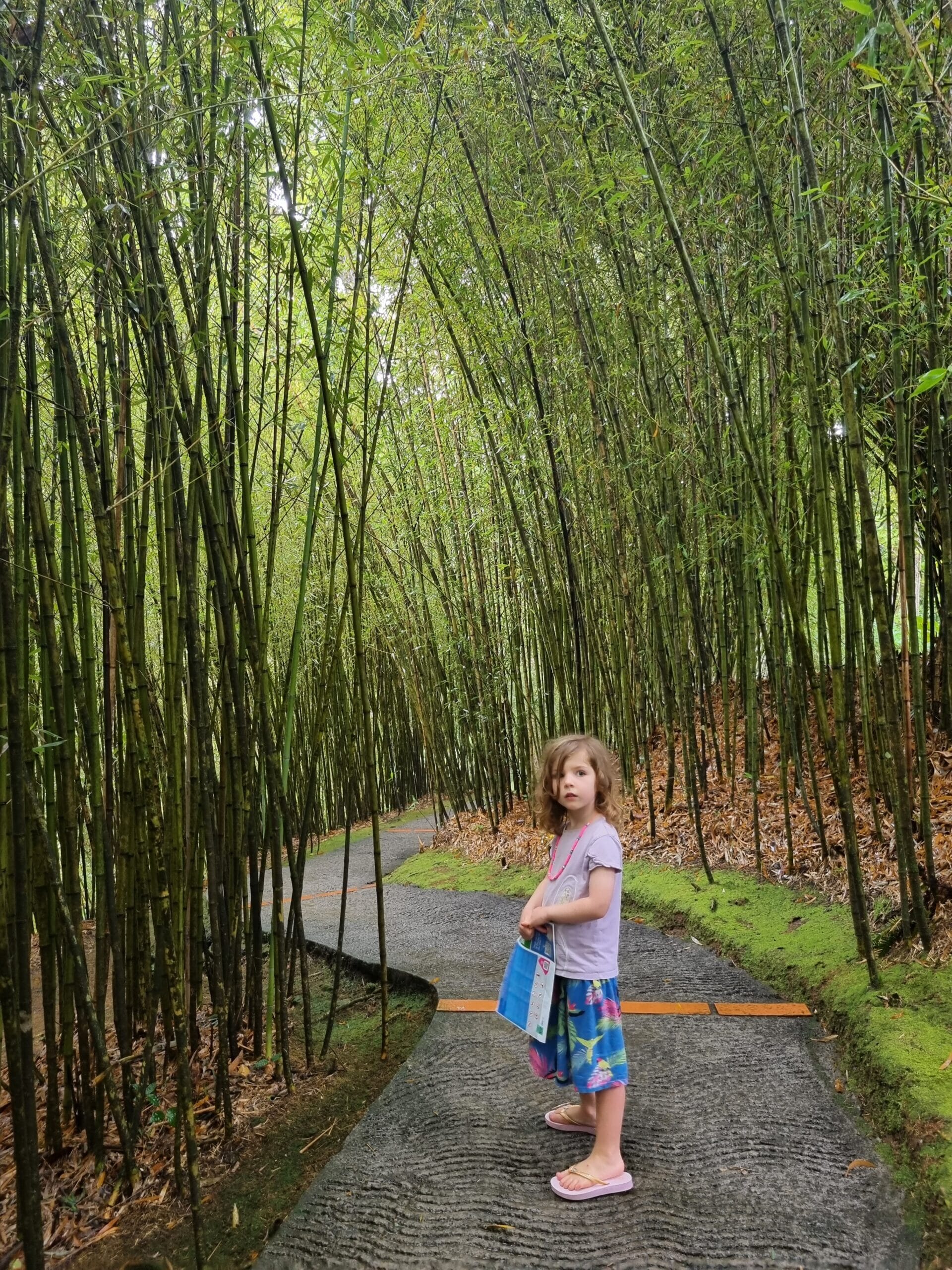 20221228_134341-scaled