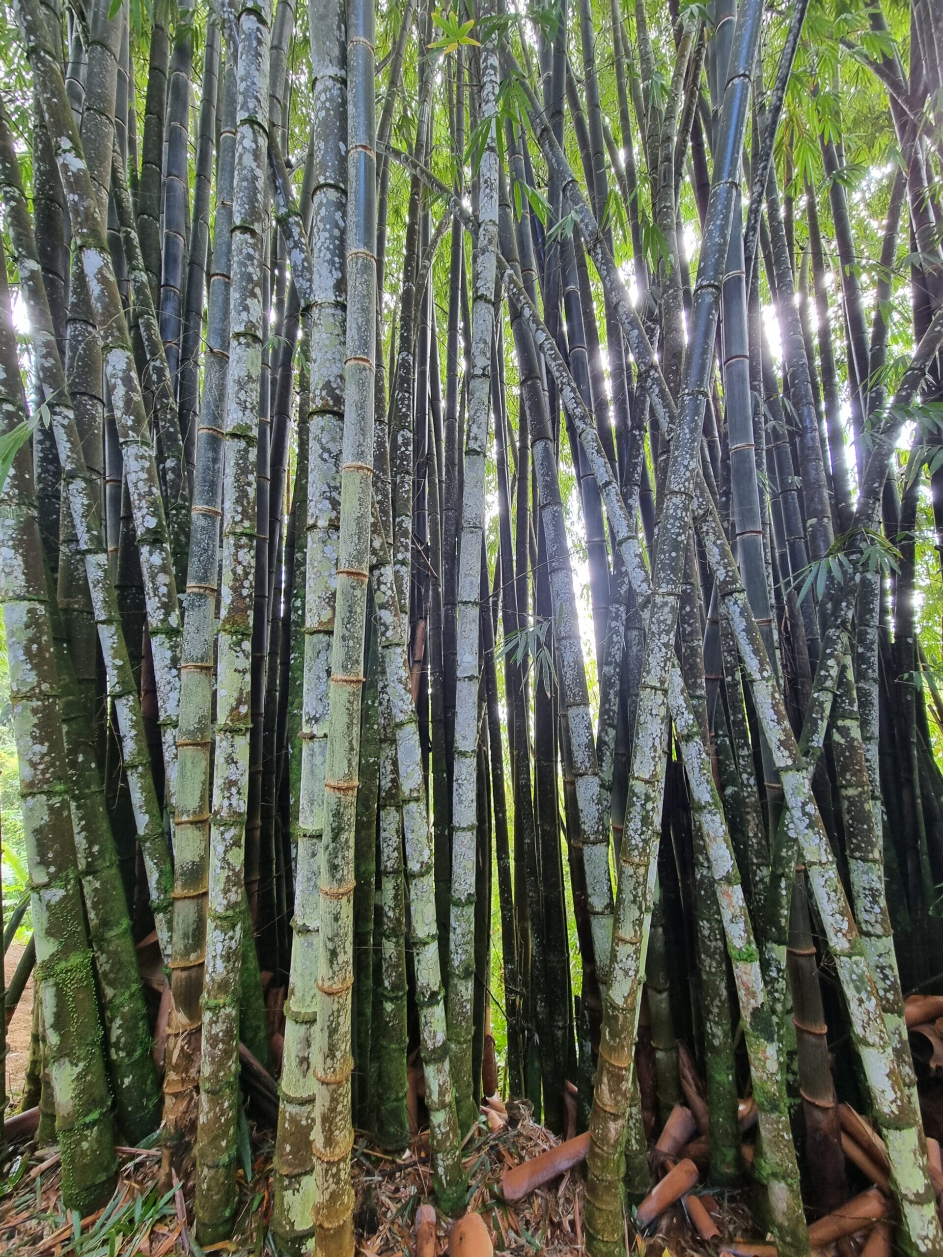 20221228_140820-scaled