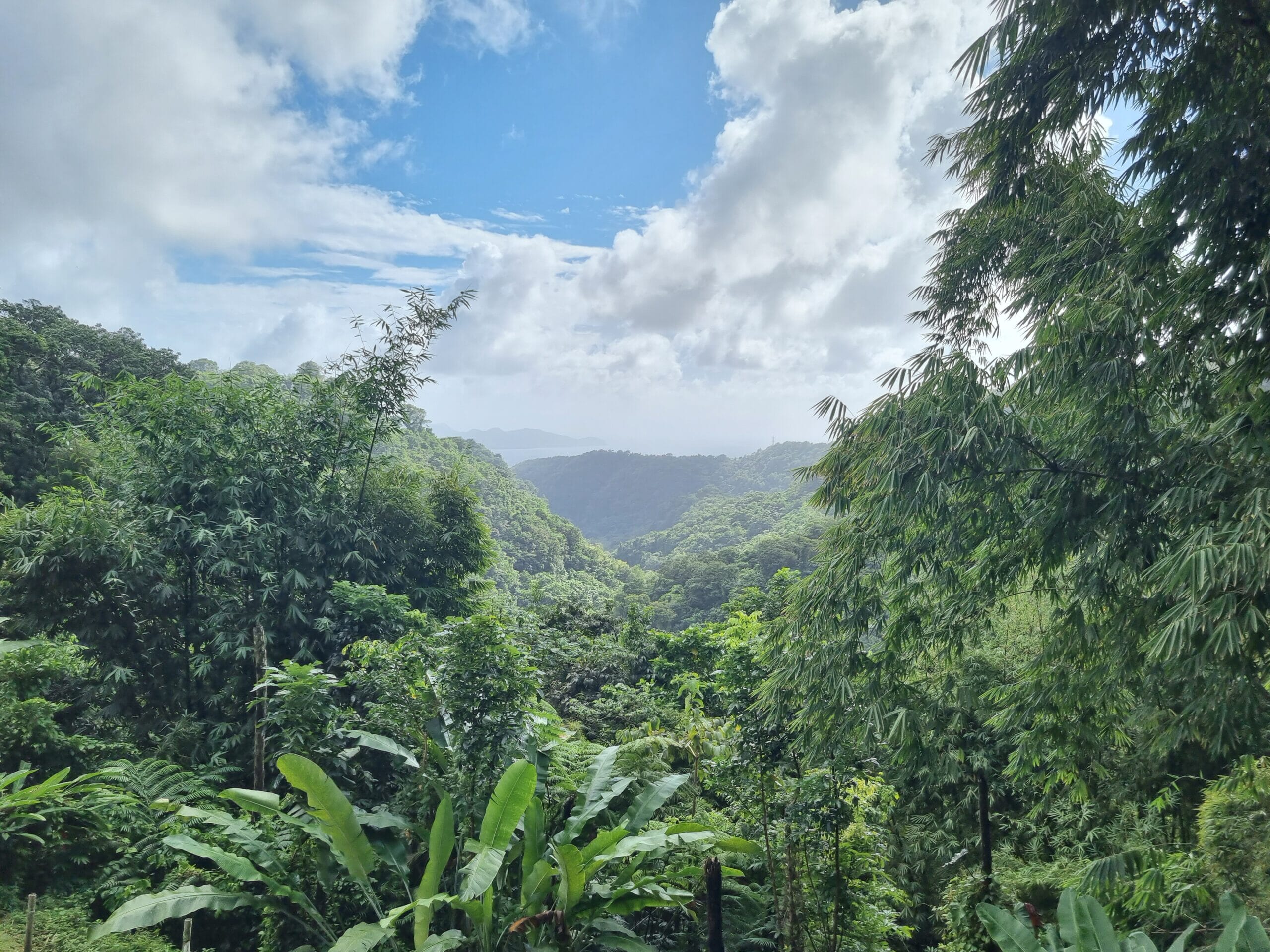 20221228_140929-scaled