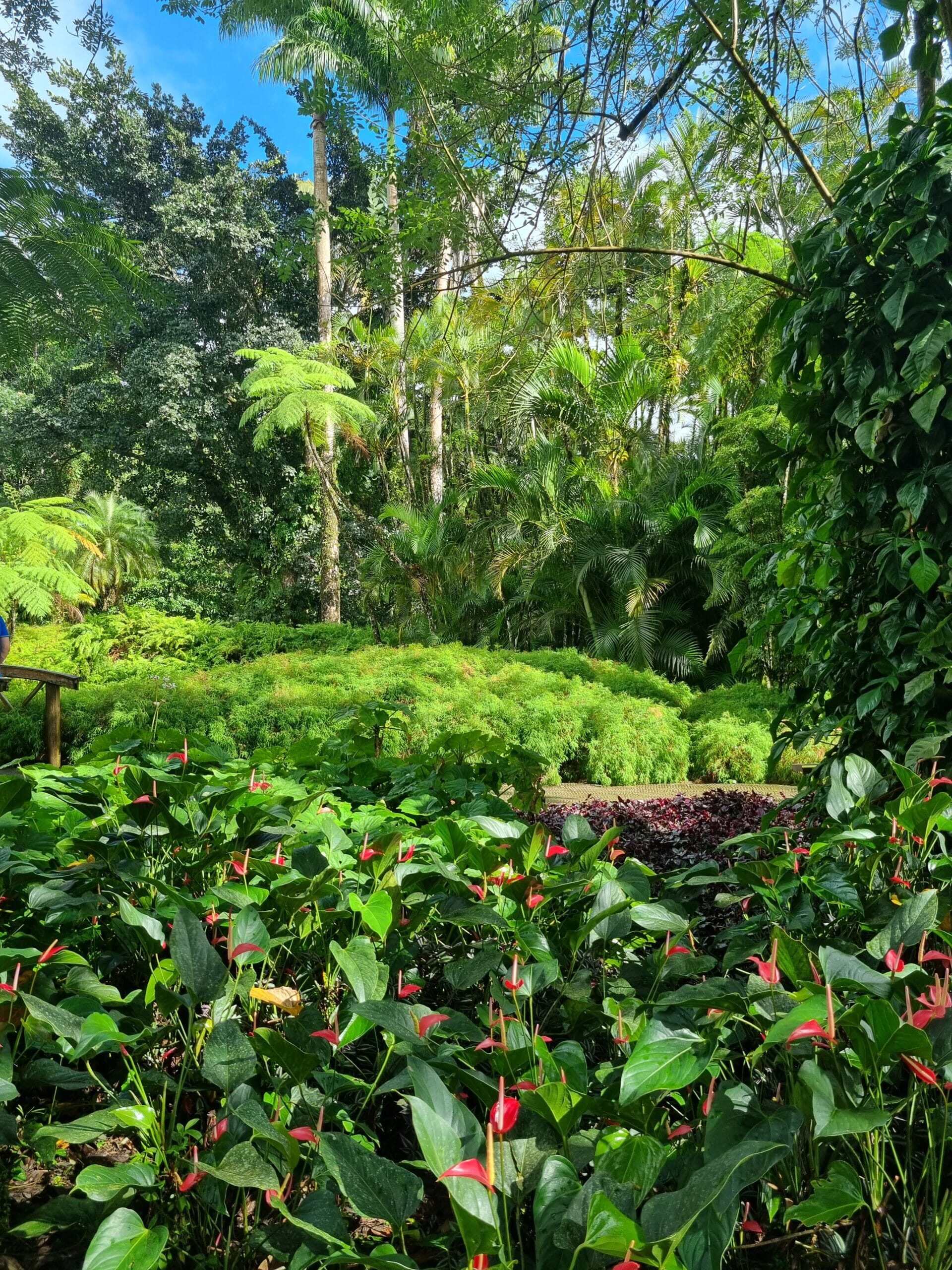 20221228_142247-scaled