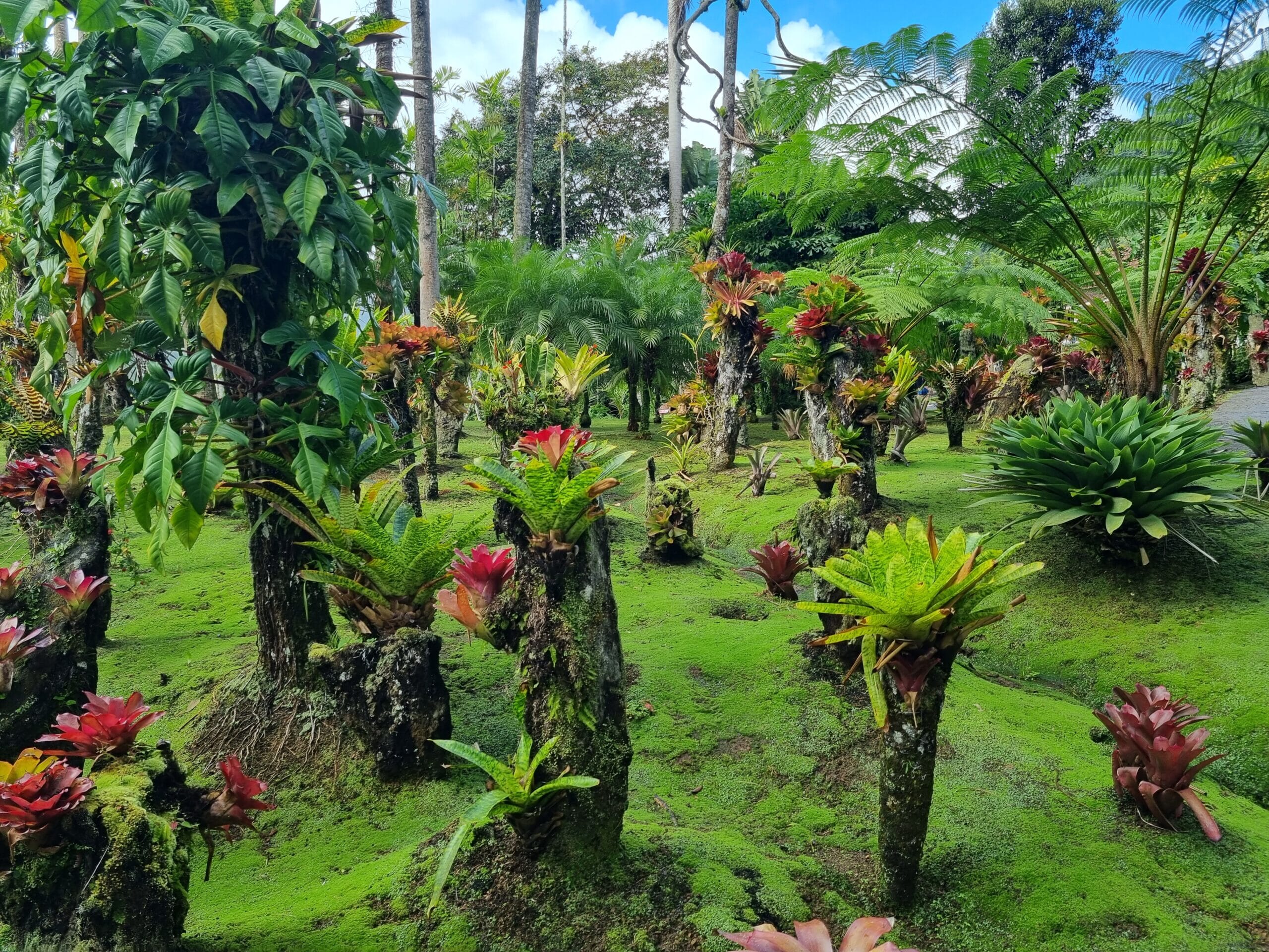 20221228_142826-1-scaled