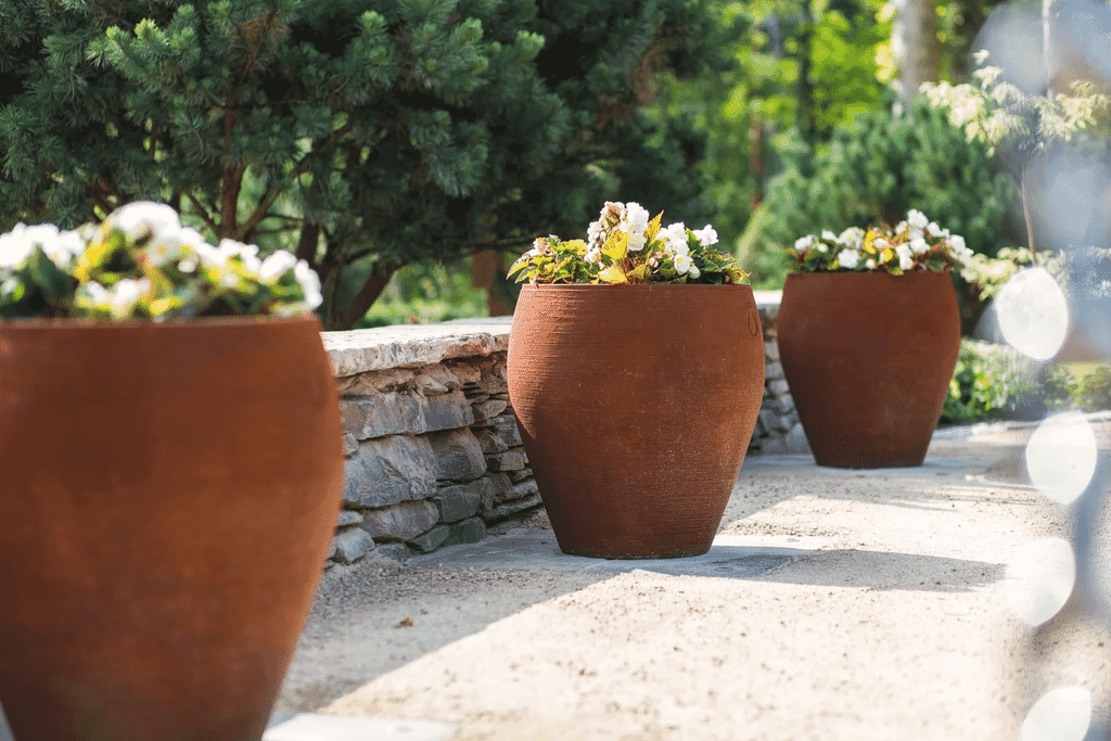 BW Carrwood 07 2021 finished TB01361