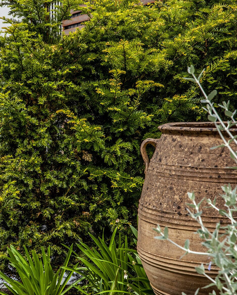 IMG_1034-e1676299119706