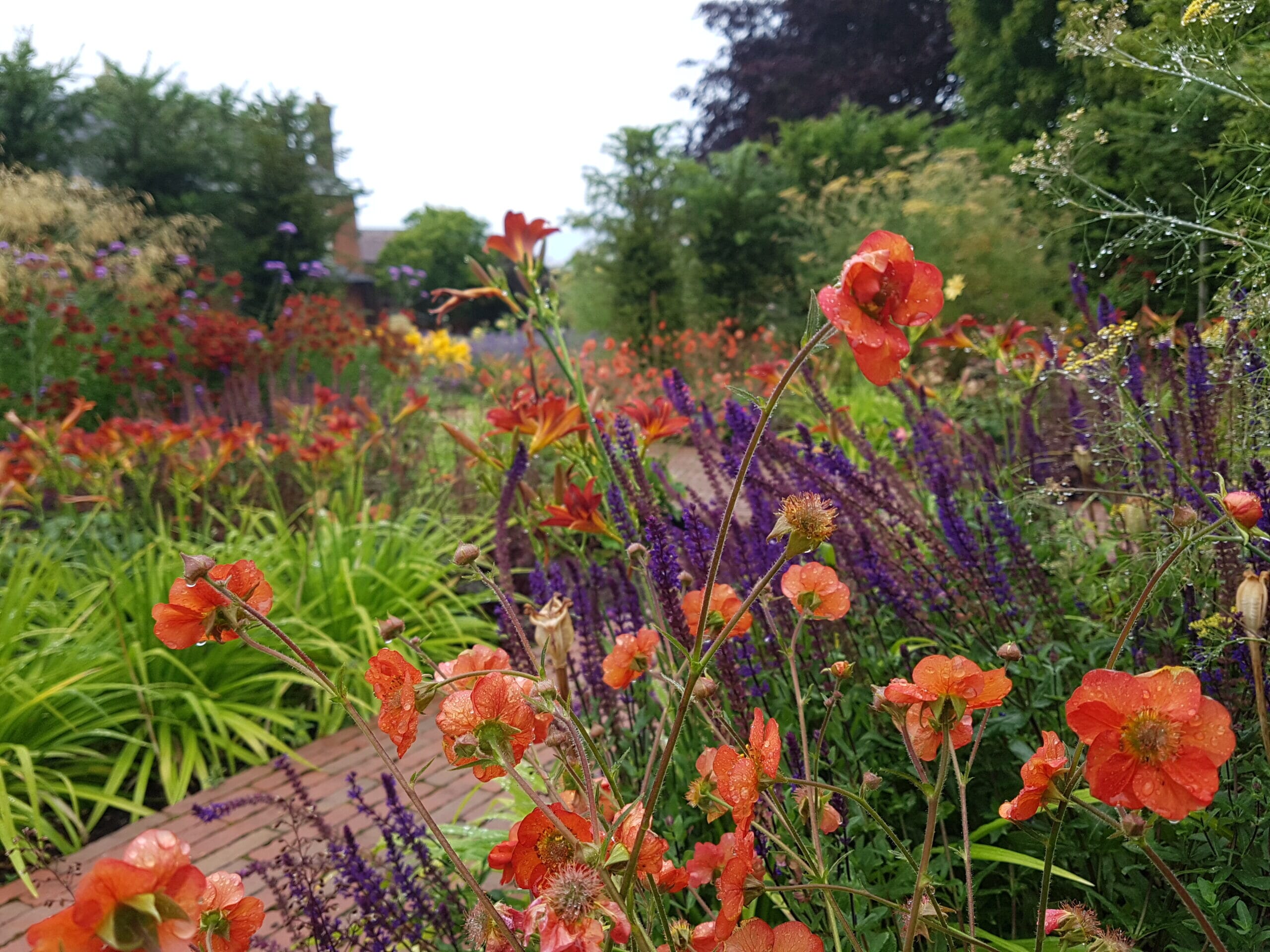 20200708_084400-scaled