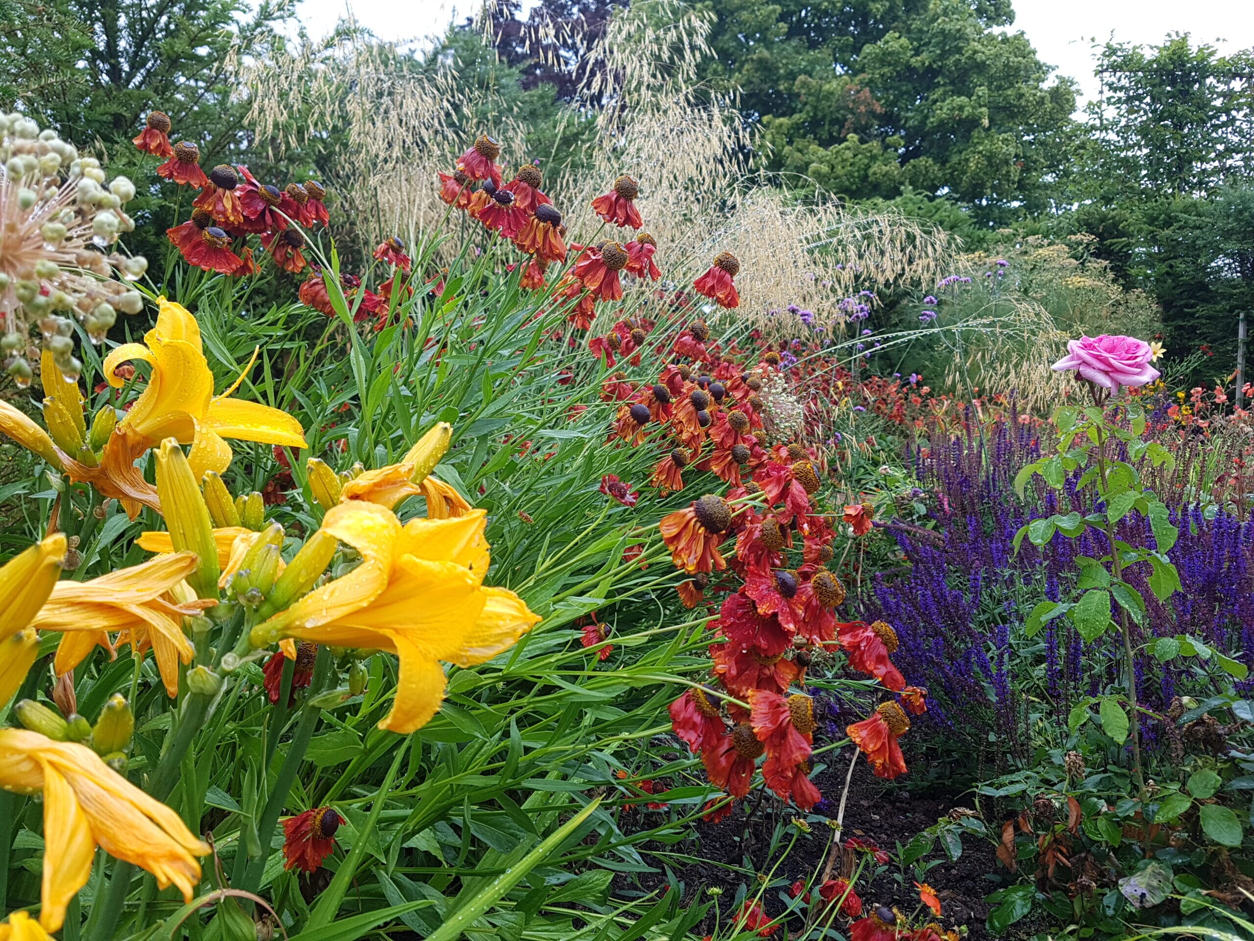 20200708_084449-scaled