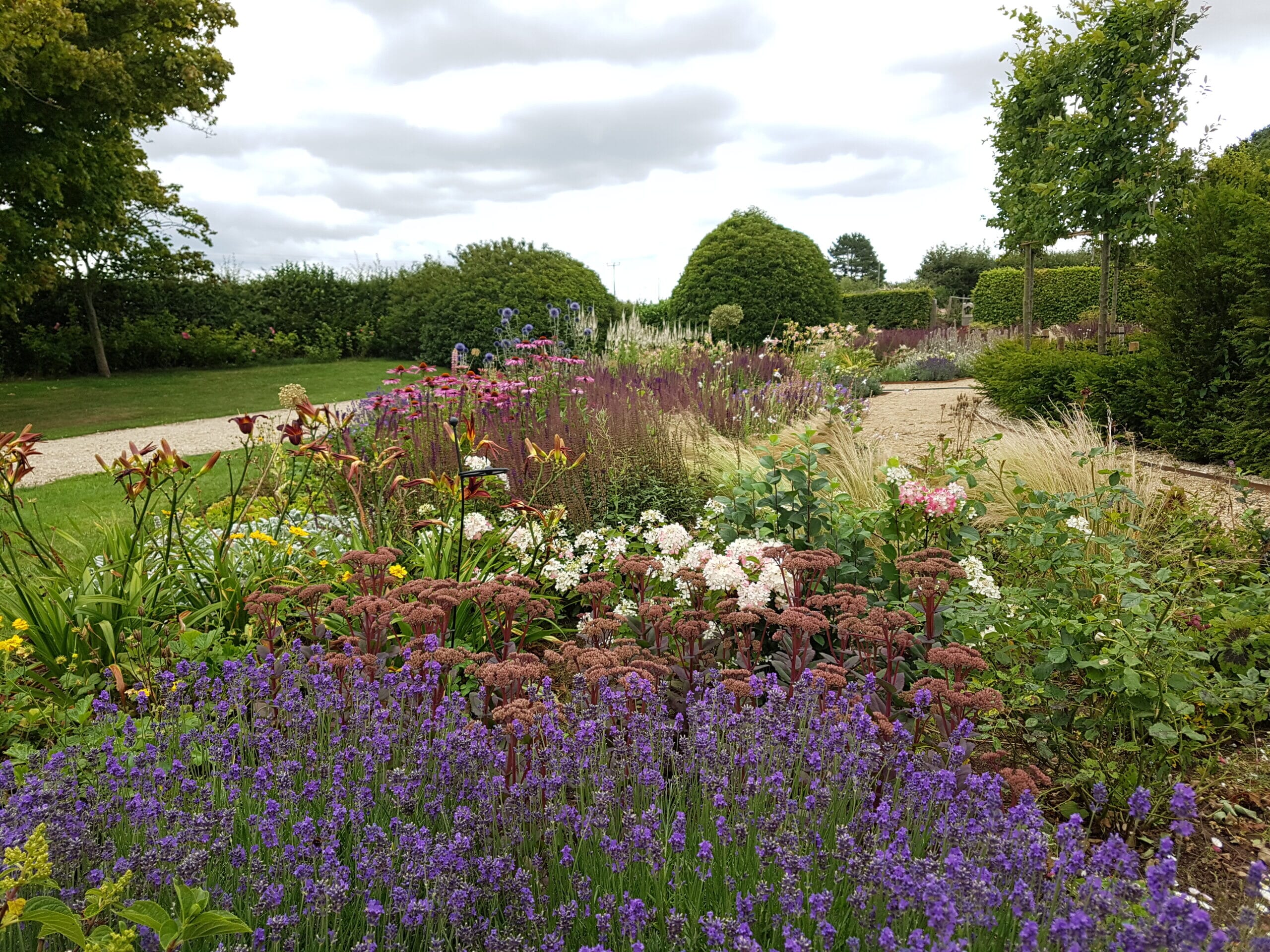 20200728_115621-scaled