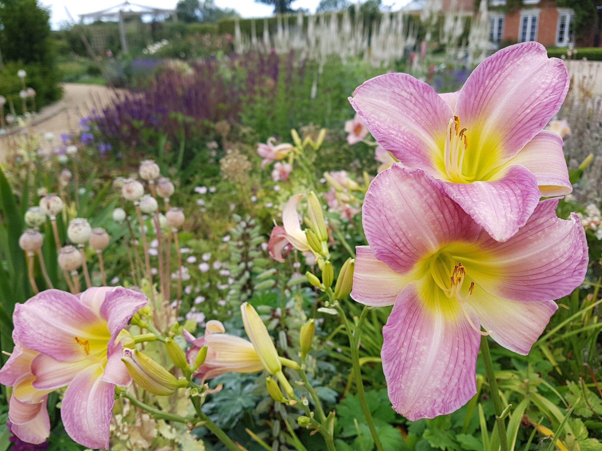 20200728_120611-scaled