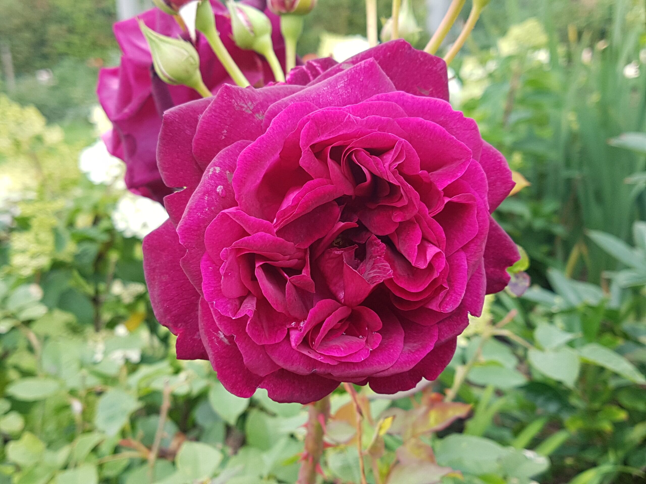 20200728_142247-scaled