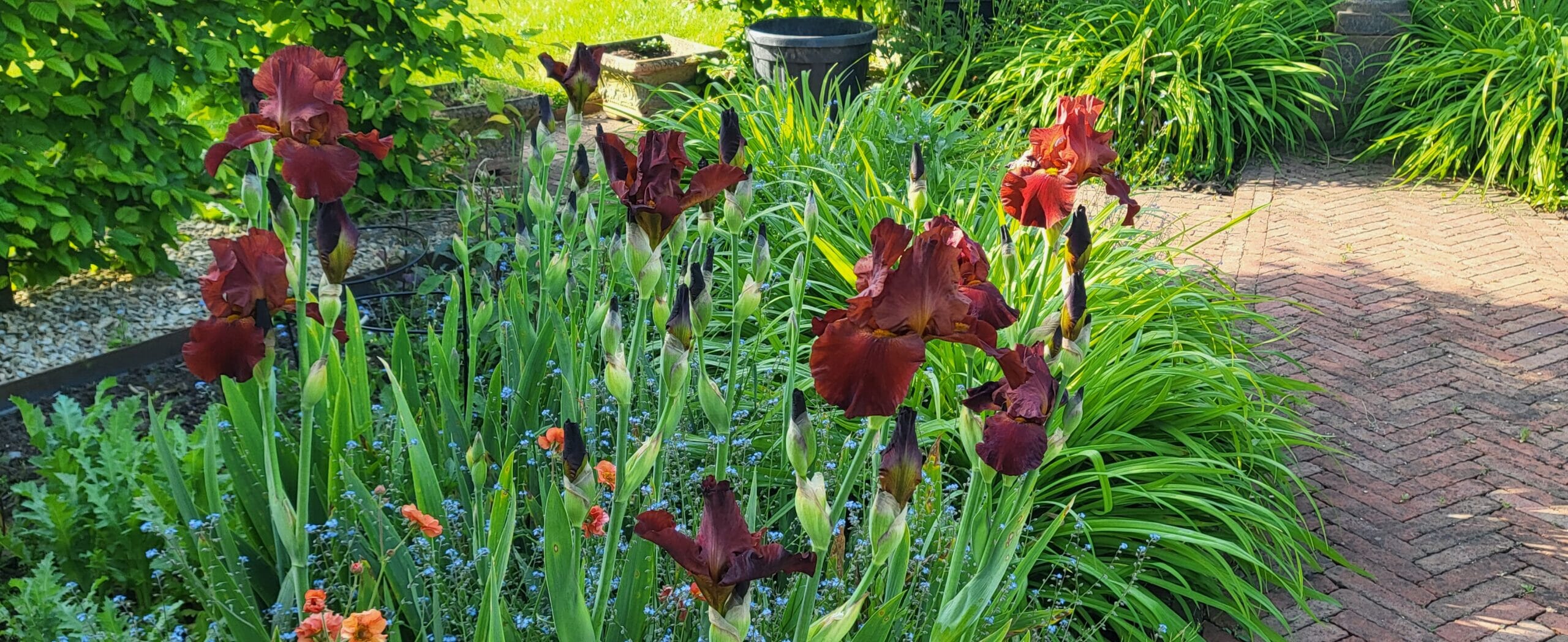 20230524_082340-scaled