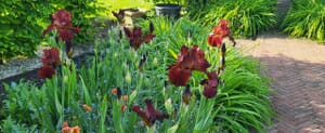 Spring Garden Design - Bronze Tones