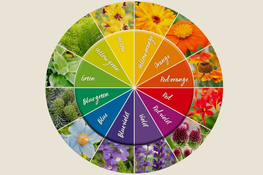 Colour wheel theory